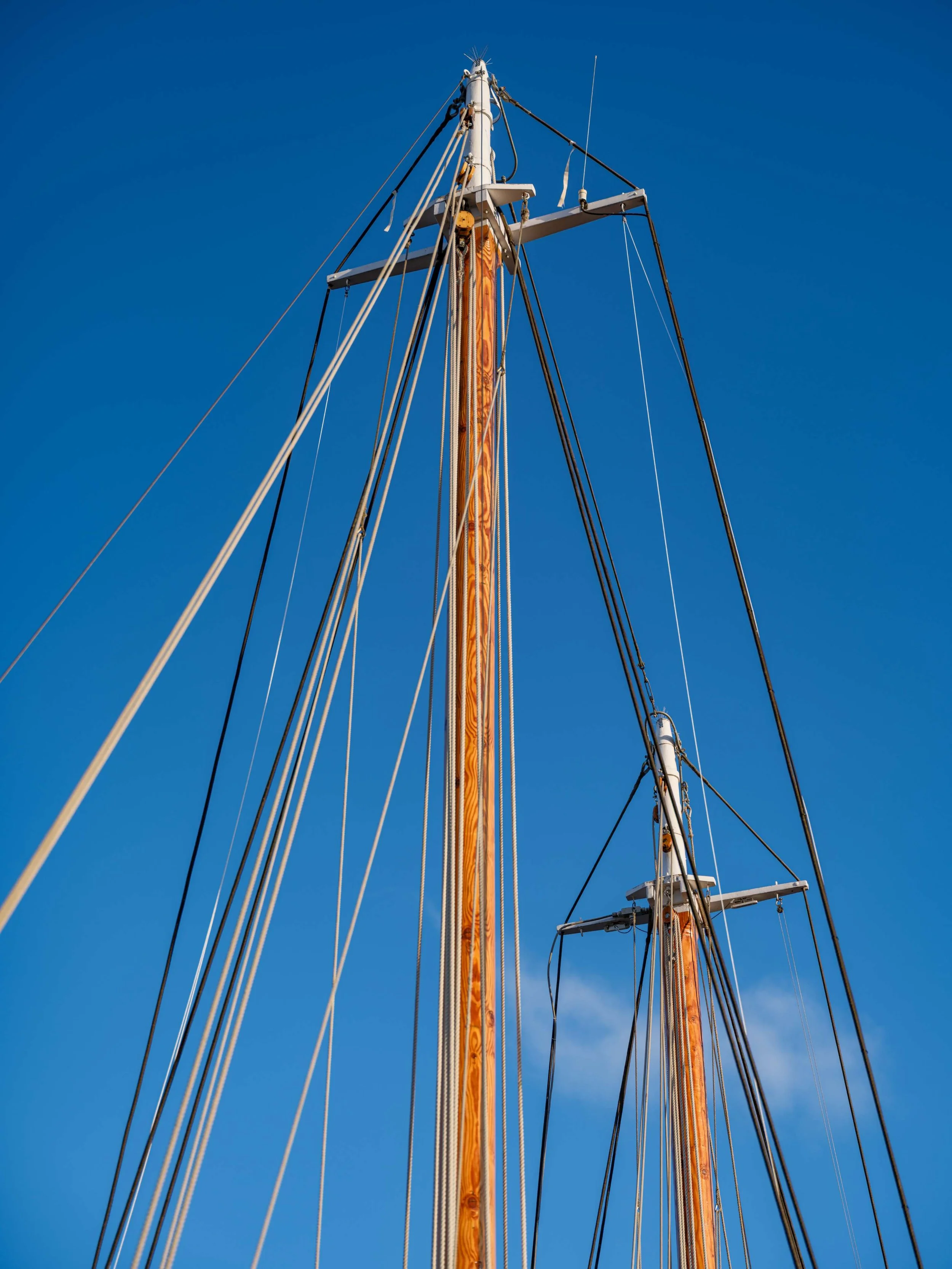 WOODEN_BOAT_50TH_PAGE_STEPHENSON-5.jpg