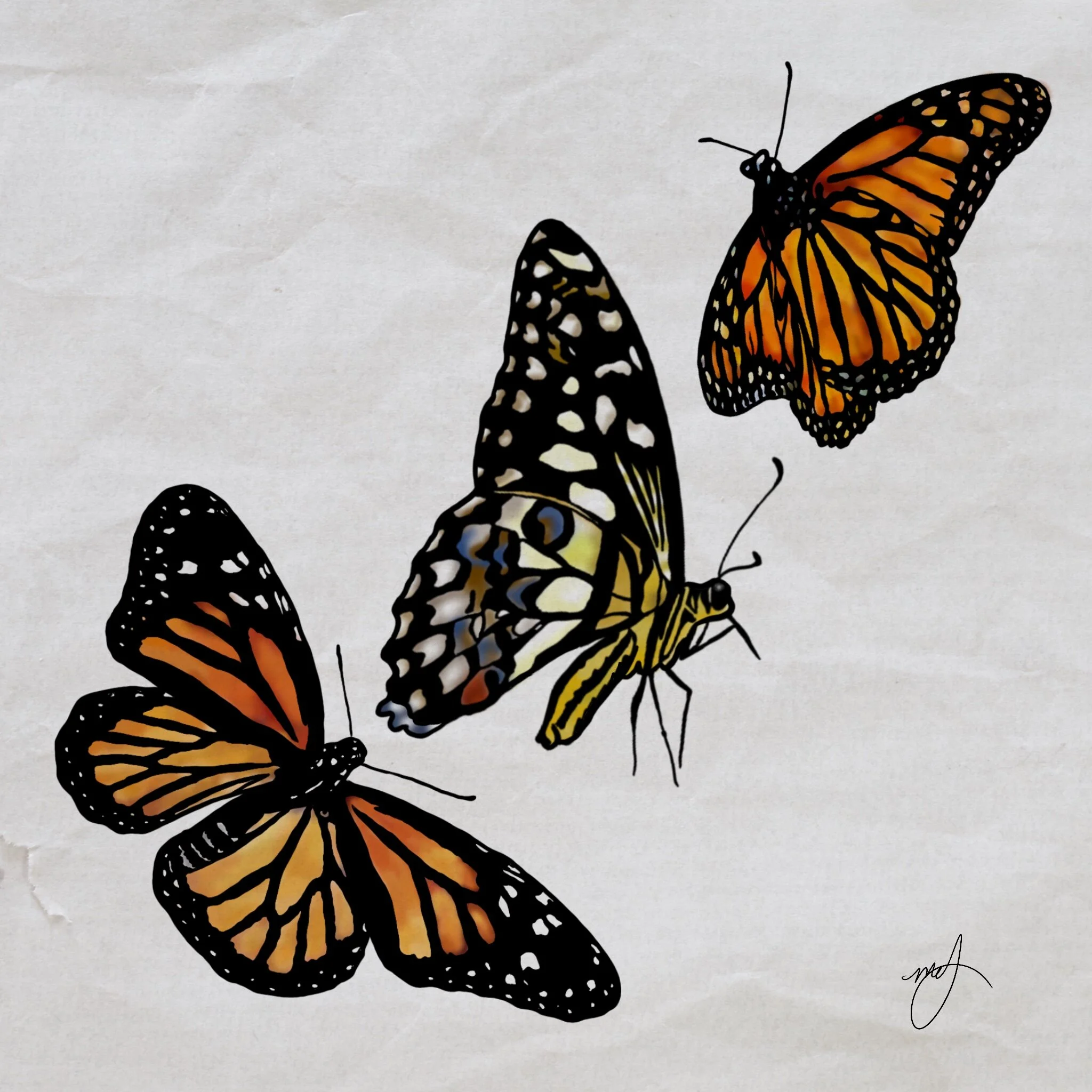 Mariposa