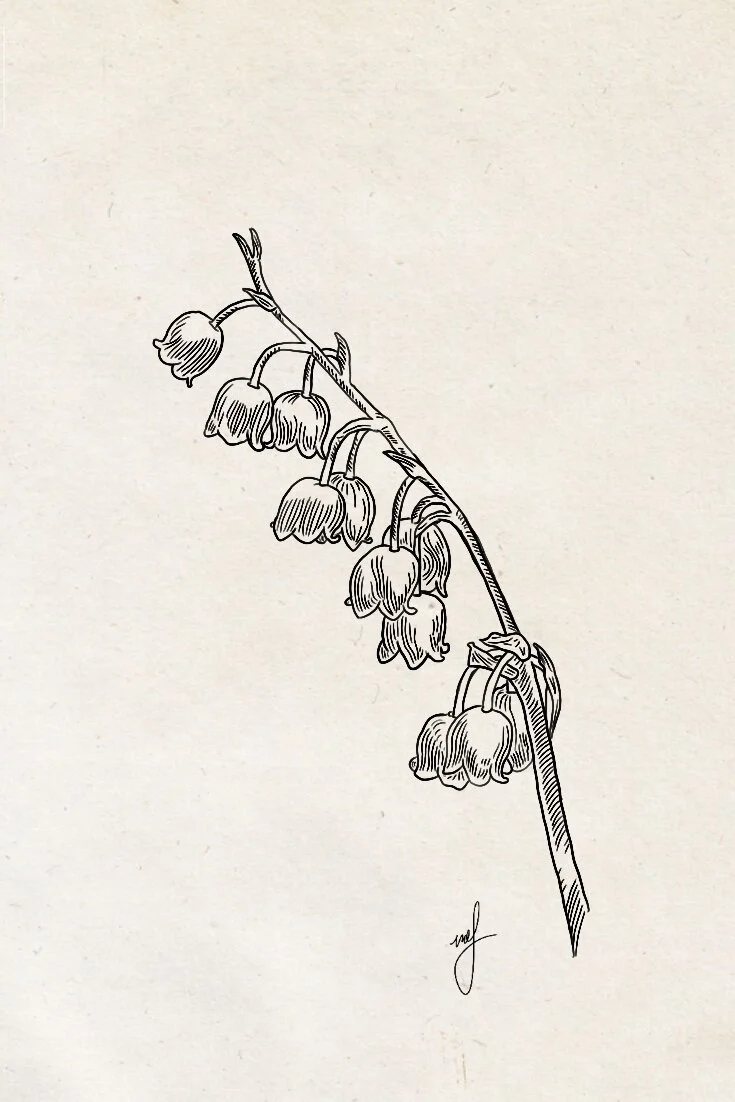 Lily of the Valley