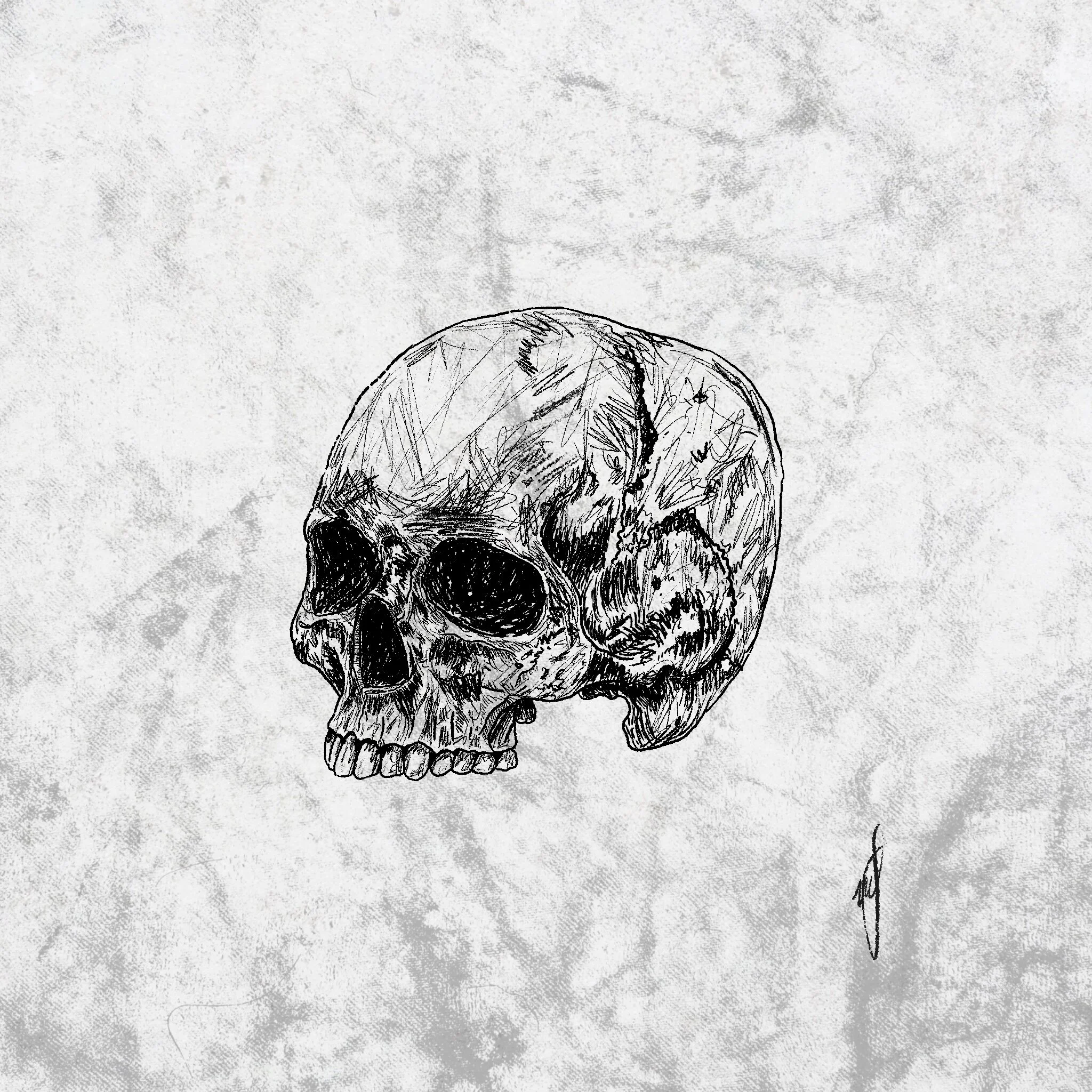 Skull, No Crossbones