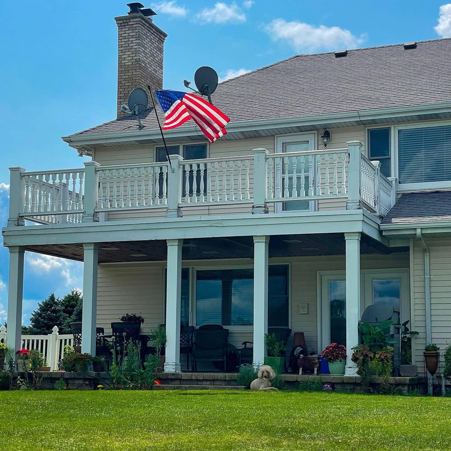Spot the poodle, she&rsquo;s just an American girl living her best life. ⁣
⁣
⁣
#Violet #standardpoodle #seniorpoodle #SCCR #ihavestandards #smithstyle #rescue #seniordog #blonde #barbie #barndog #sundayfunday  #kankakee #violetmalibu #america #americ