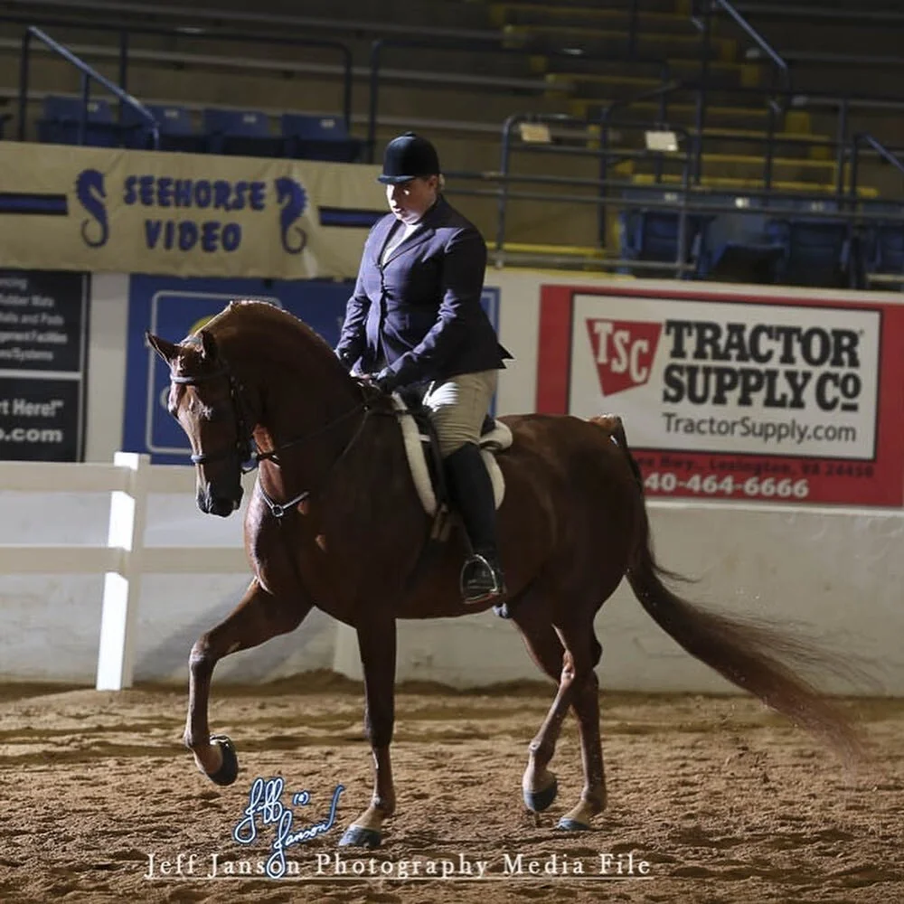 Home from an amazing Region 15!!! Rio was Reserve Champion HA Hunter in both the open and the AATR, and Top 5 in AOTR, not bad for only being a hunter for a few weeks. ⁣
⁣
A huge thank you to Ashton, Joel, and everyone at Kiesner Training for such a 