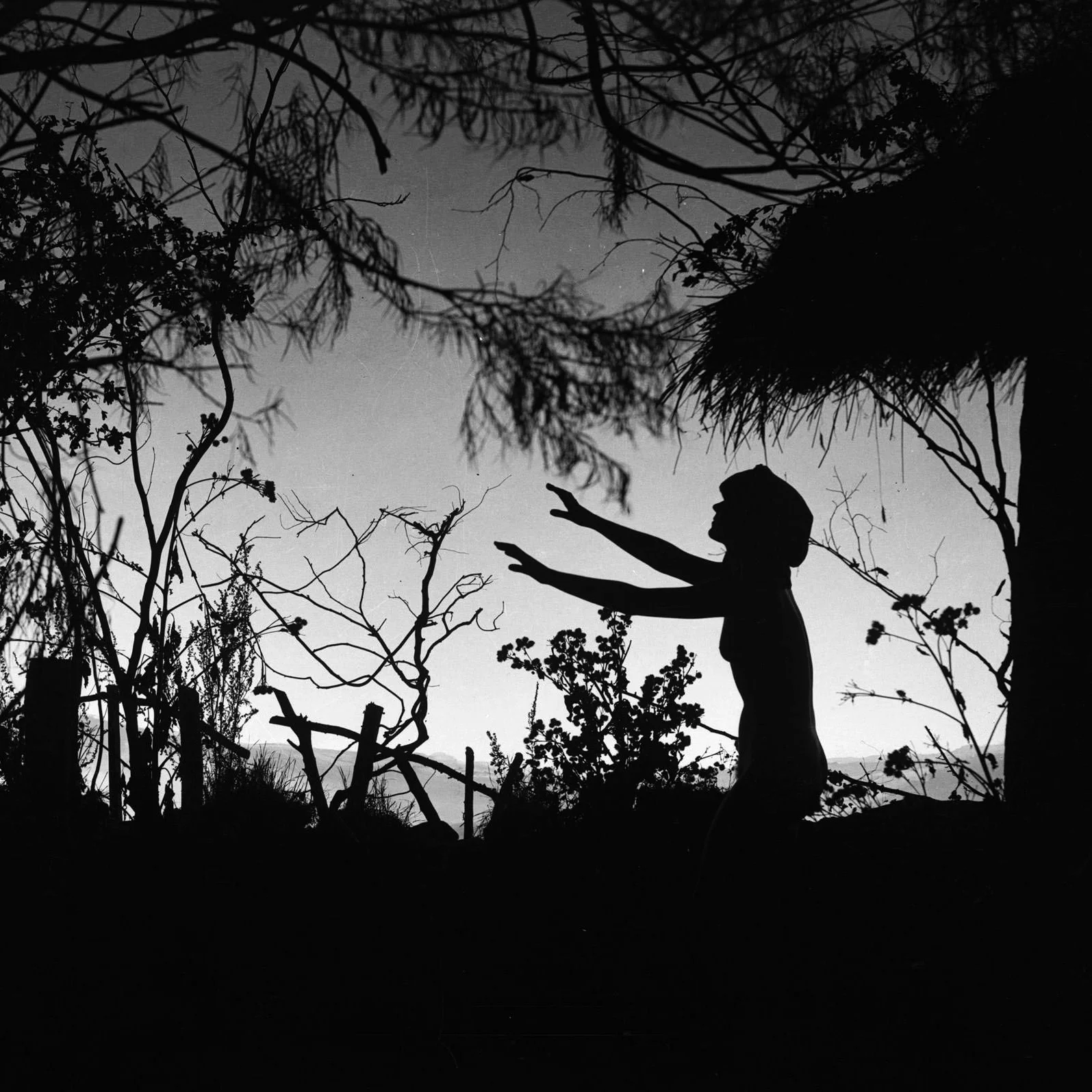 Häxan