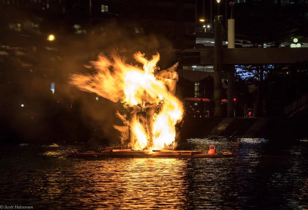 Lōemis 2017 – Somnium burning at Whairepo Lagoon (Photo Scott Halvorsen)