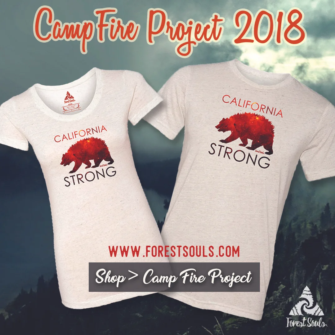 CampFire_Project2018IG.jpg