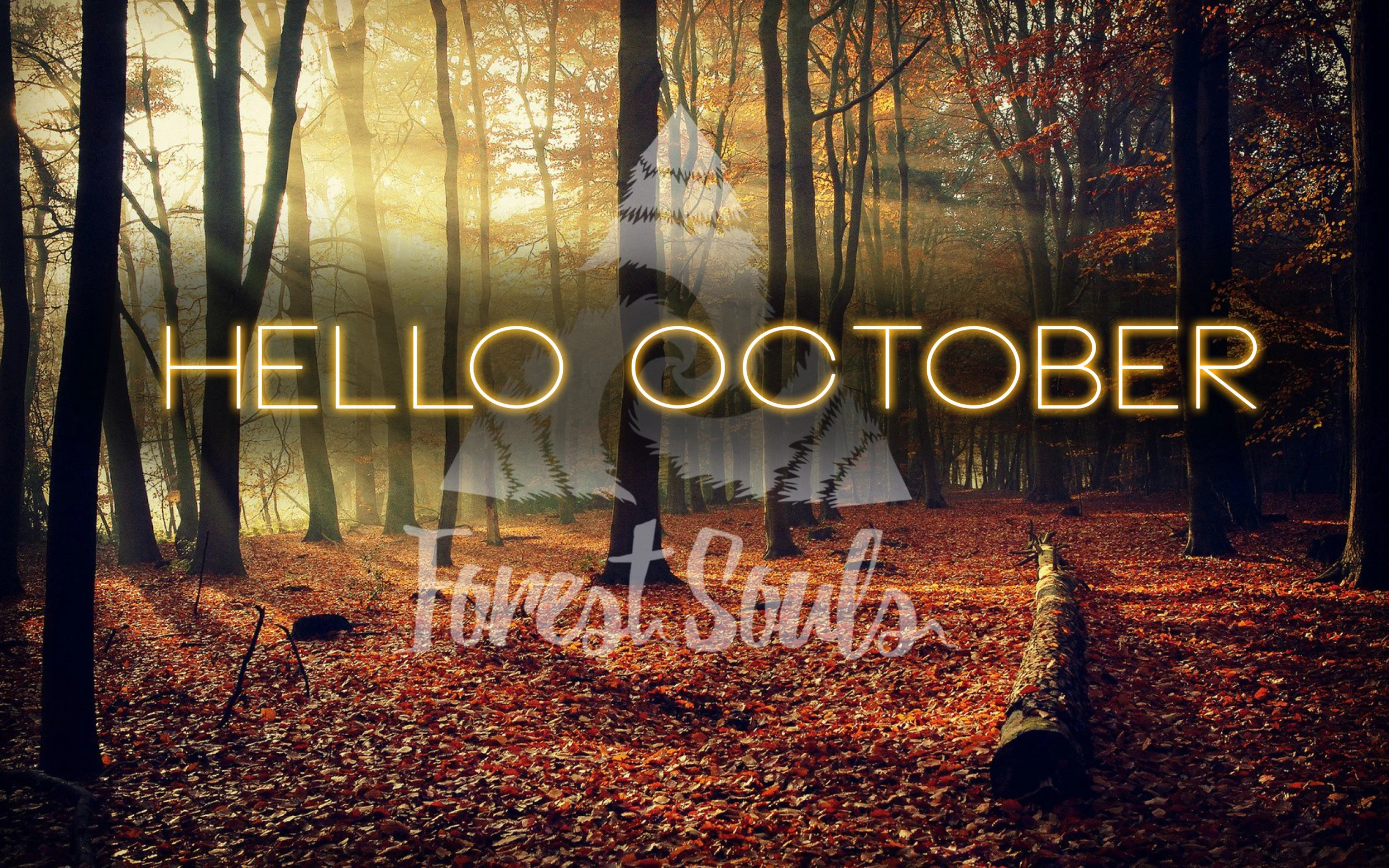 HelloOct_FS.jpg