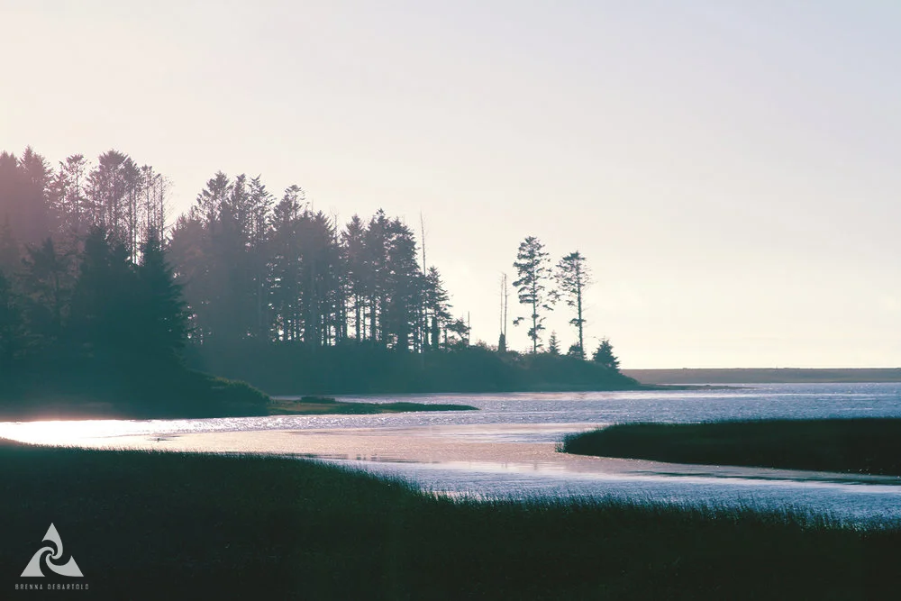 TheRedWoodCoast1.jpg
