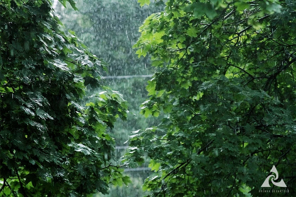 BDP_RI_Rainy.jpg