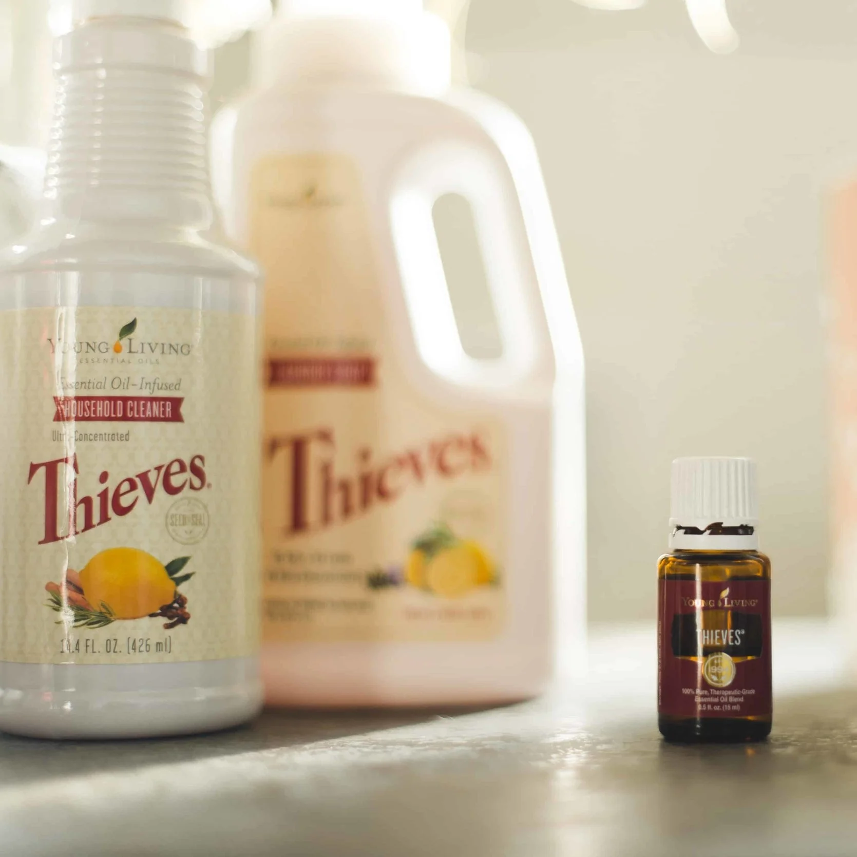 Thieves+%26+Thieves+cleaner.jpg