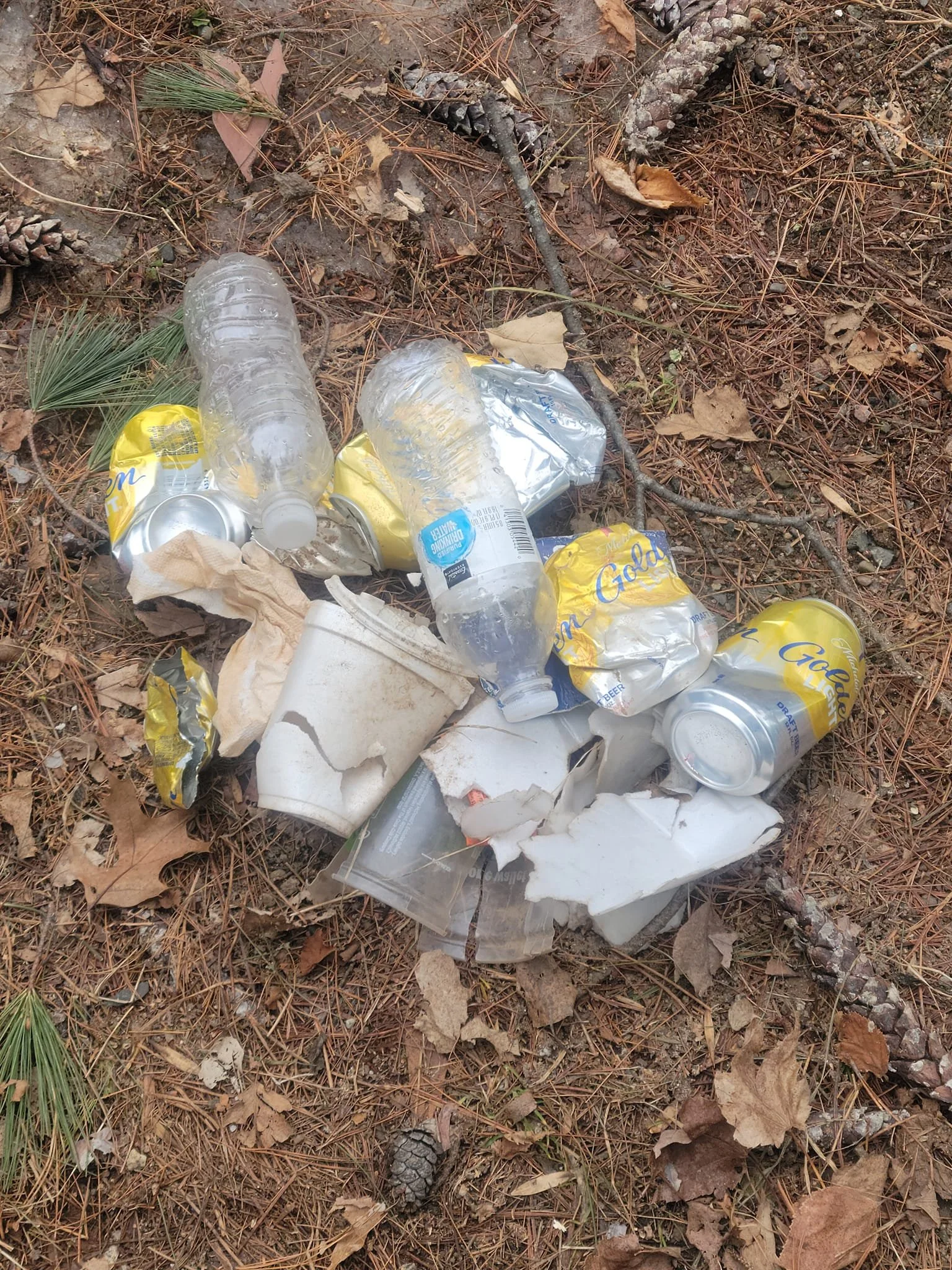 What I found on my walk!