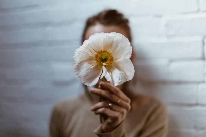 white-poppy-in-hand_720x.jpg