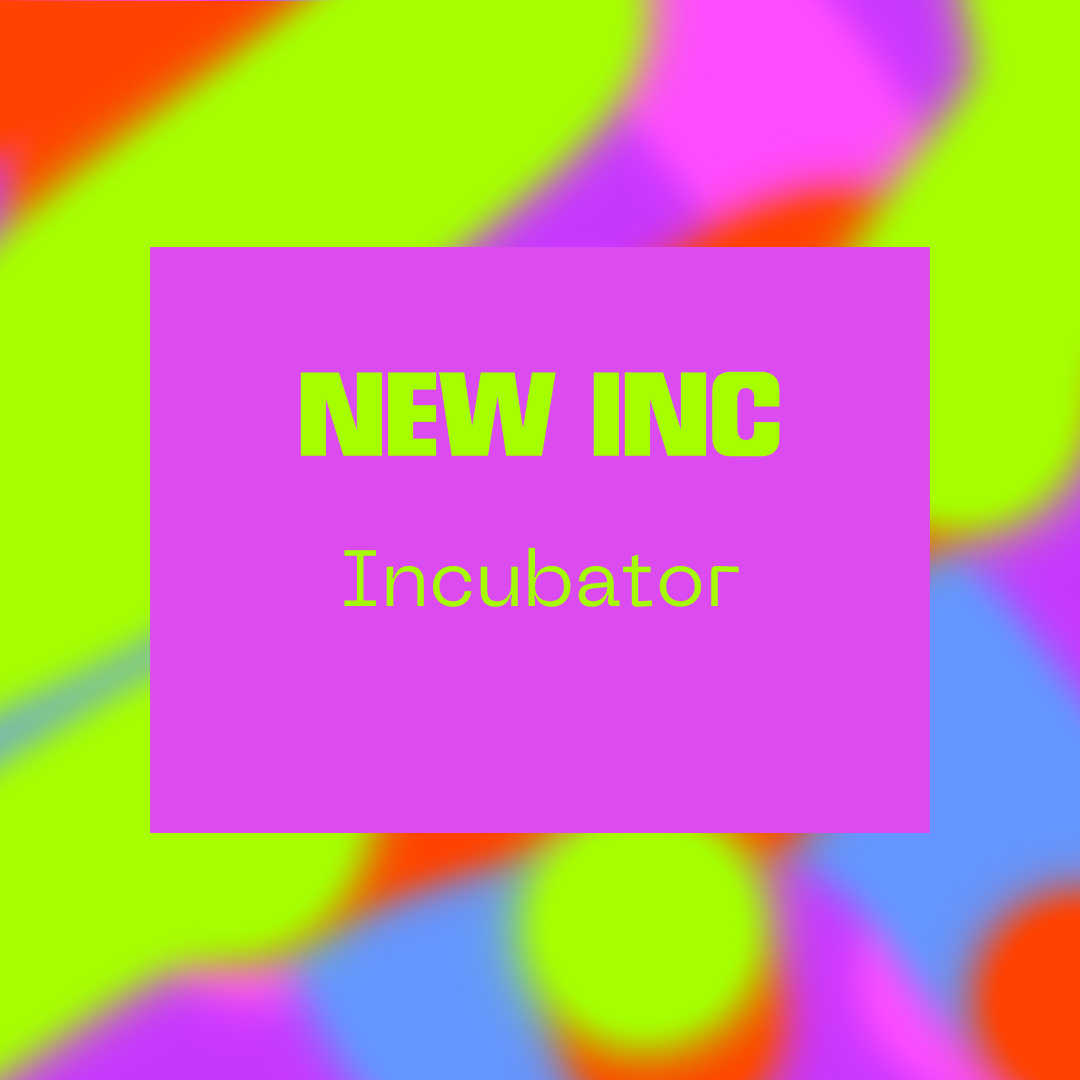 Katherine Templar Lewis - Y11 9-Month Incubator Plan