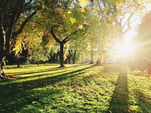 park.jpg