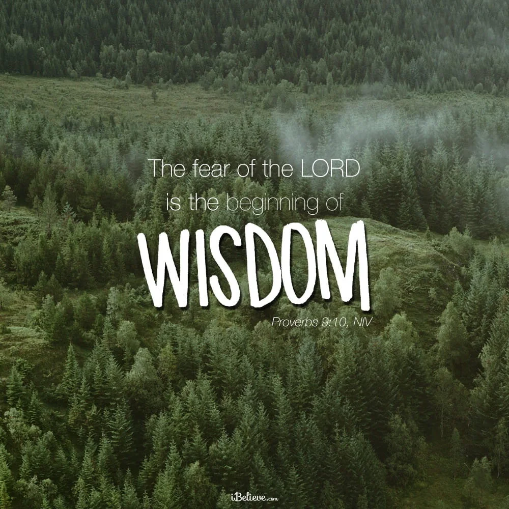 How Do I Know if This is Godly Wisdom?