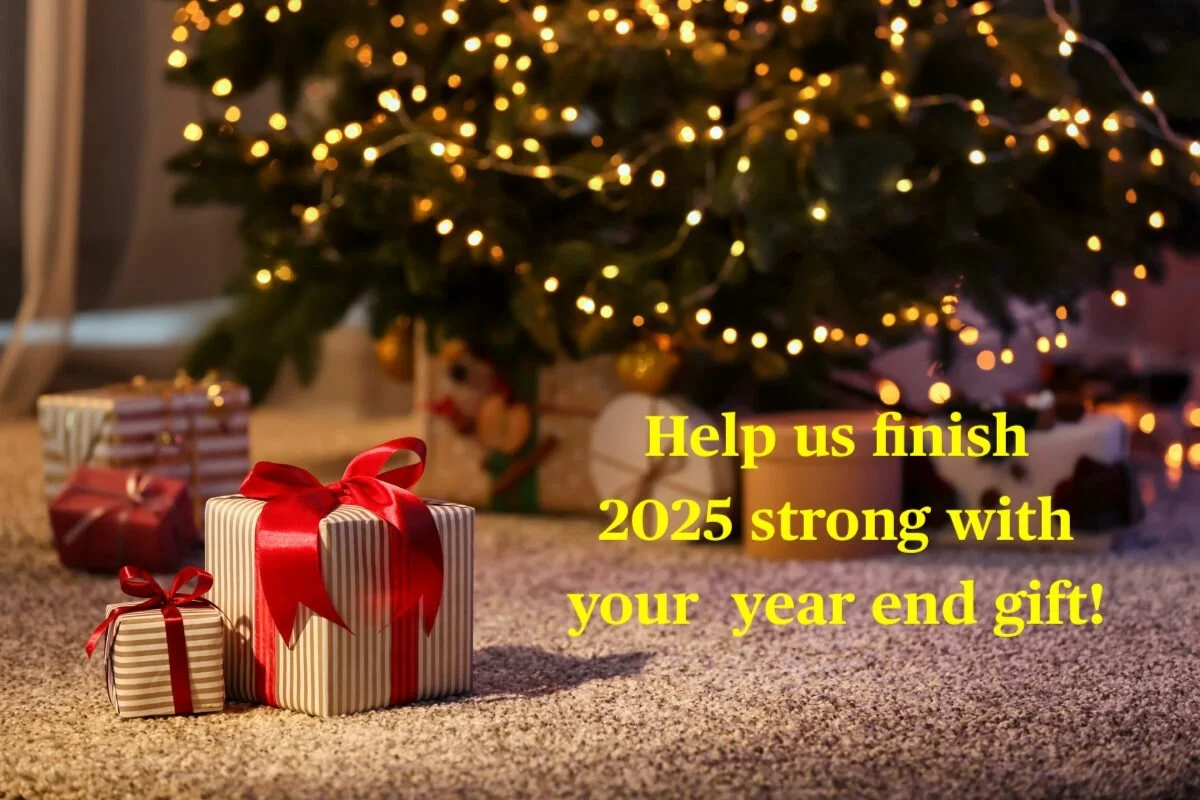 wrap it up 2025-web starts.jpg