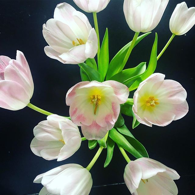 o&middot;a&middot;sis /ōˈāsis/: a pleasant or peaceful area or period in the midst of a difficult, troubled, or hectic place or situation.

Sometimes, the smartest thing we can do as business owners is to *start* the week with intentional peace &mdas