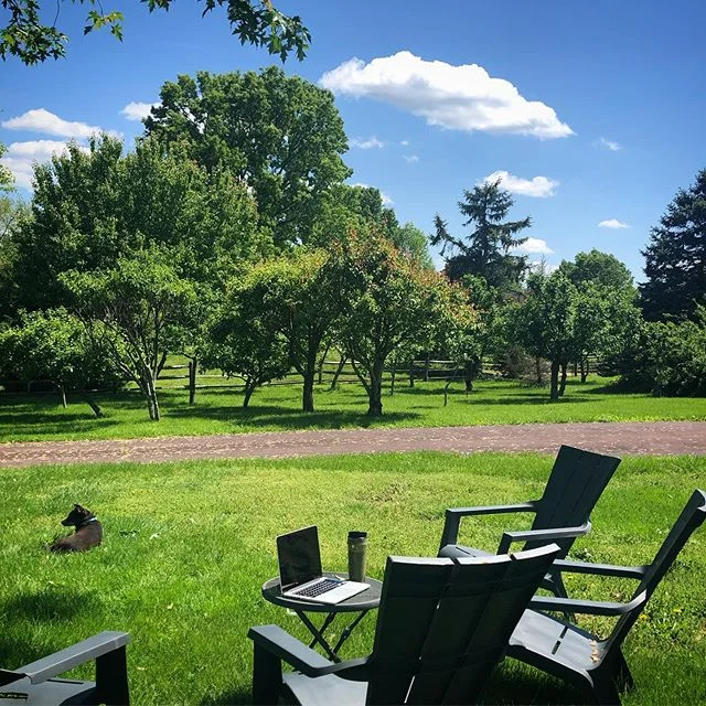 Office with a view. 🌳 And a guard dog. 🐶 And #nofilter, because it&rsquo;s finally not raining! ☀️
.
.
.
#homeoffice #farmhouseoffice #appletrees #pennythepup #graphicdesign #spring #sunshine #digitalnomad