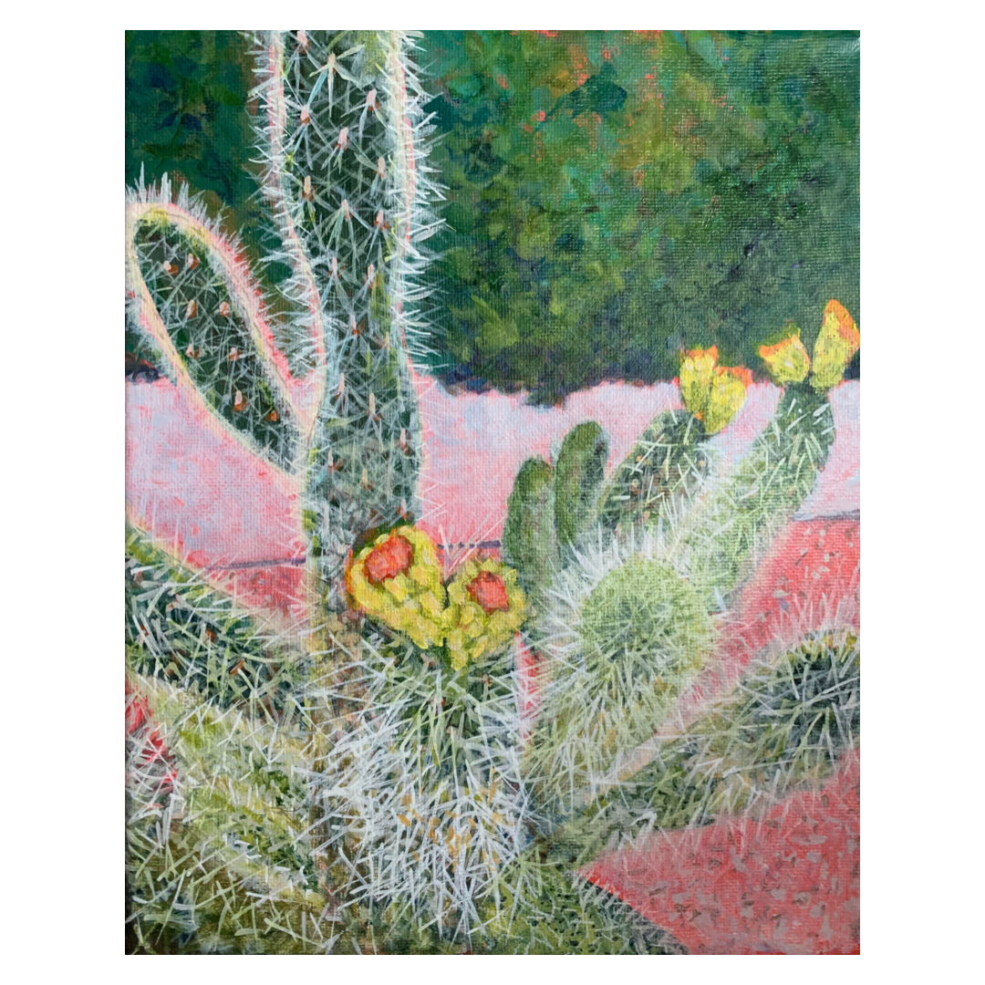 Teddy Bear Cholla_BUTTERS_2020_Canva.png