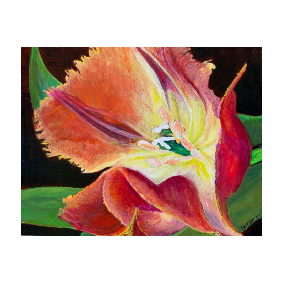 Orange Favorite_BUTTERS_2020_Canva.png