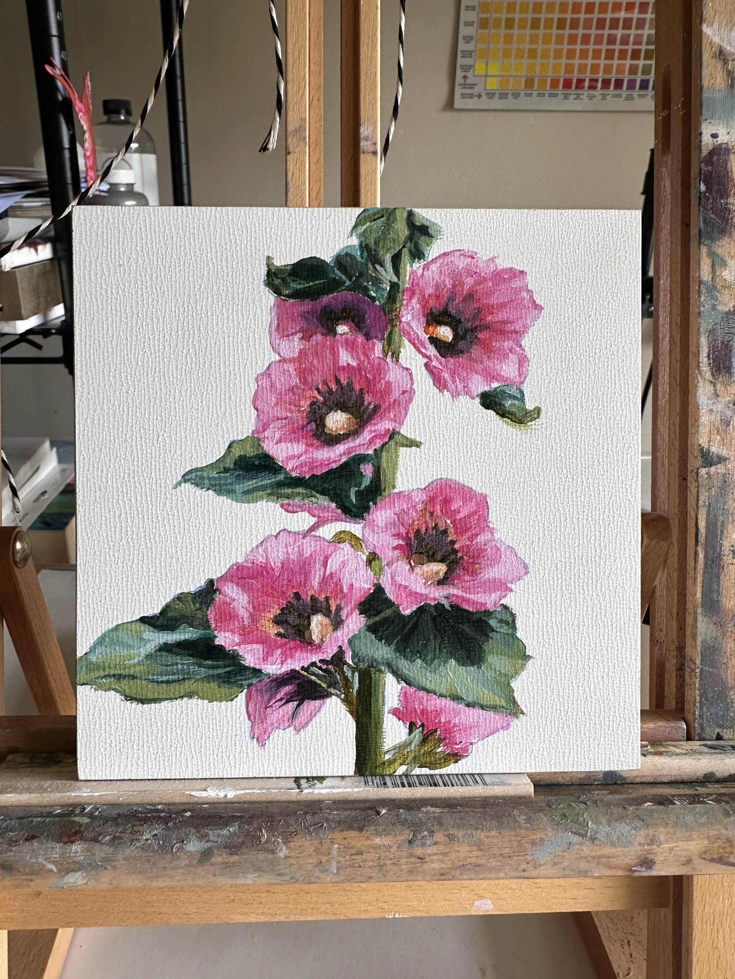 Alcea Rosea_Pretty in Pink_BUTTERS_2024_easel.png