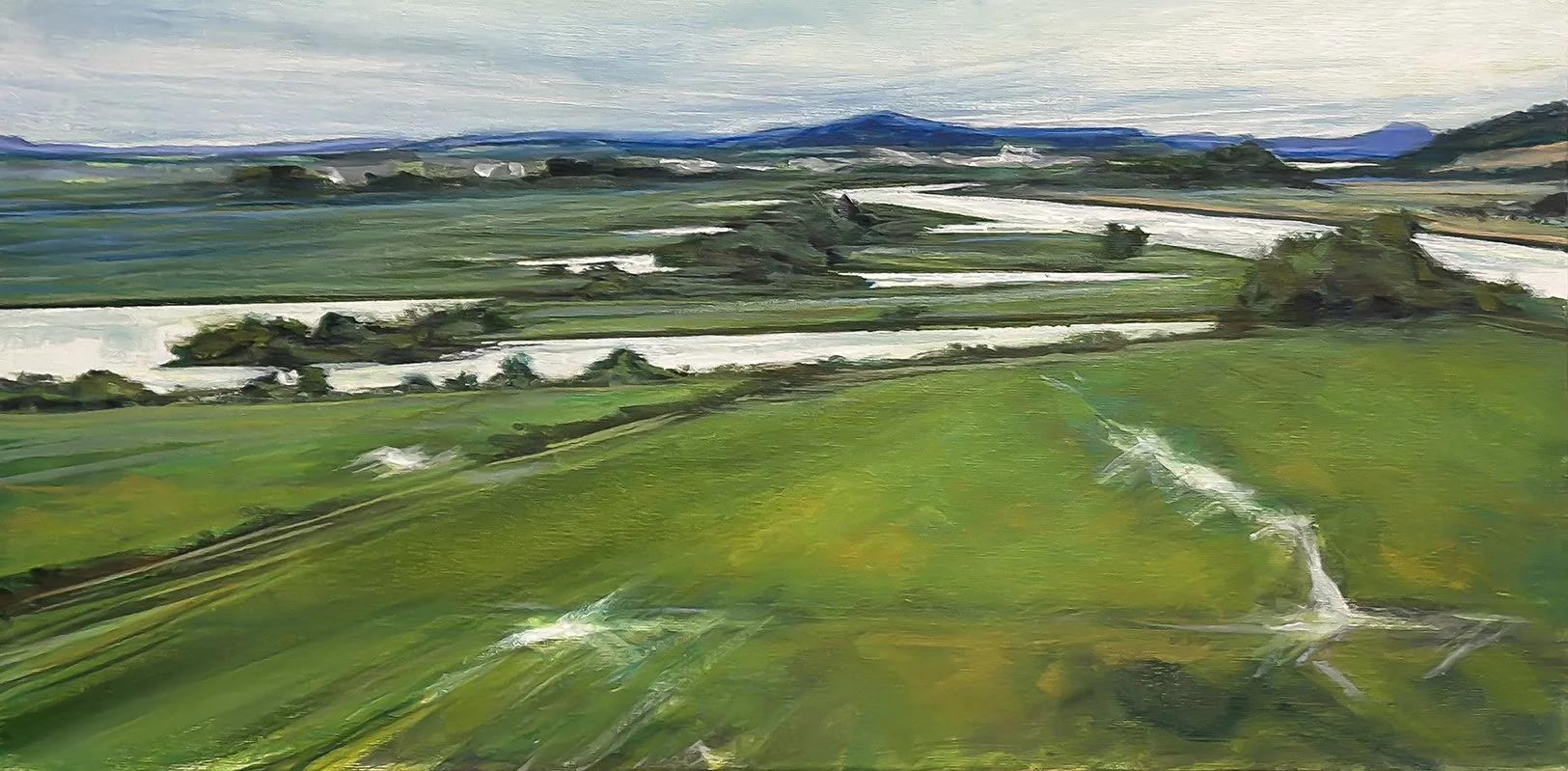 Valley View Swinomish to LaConner_BUTTERS_2024_PaS.jpg