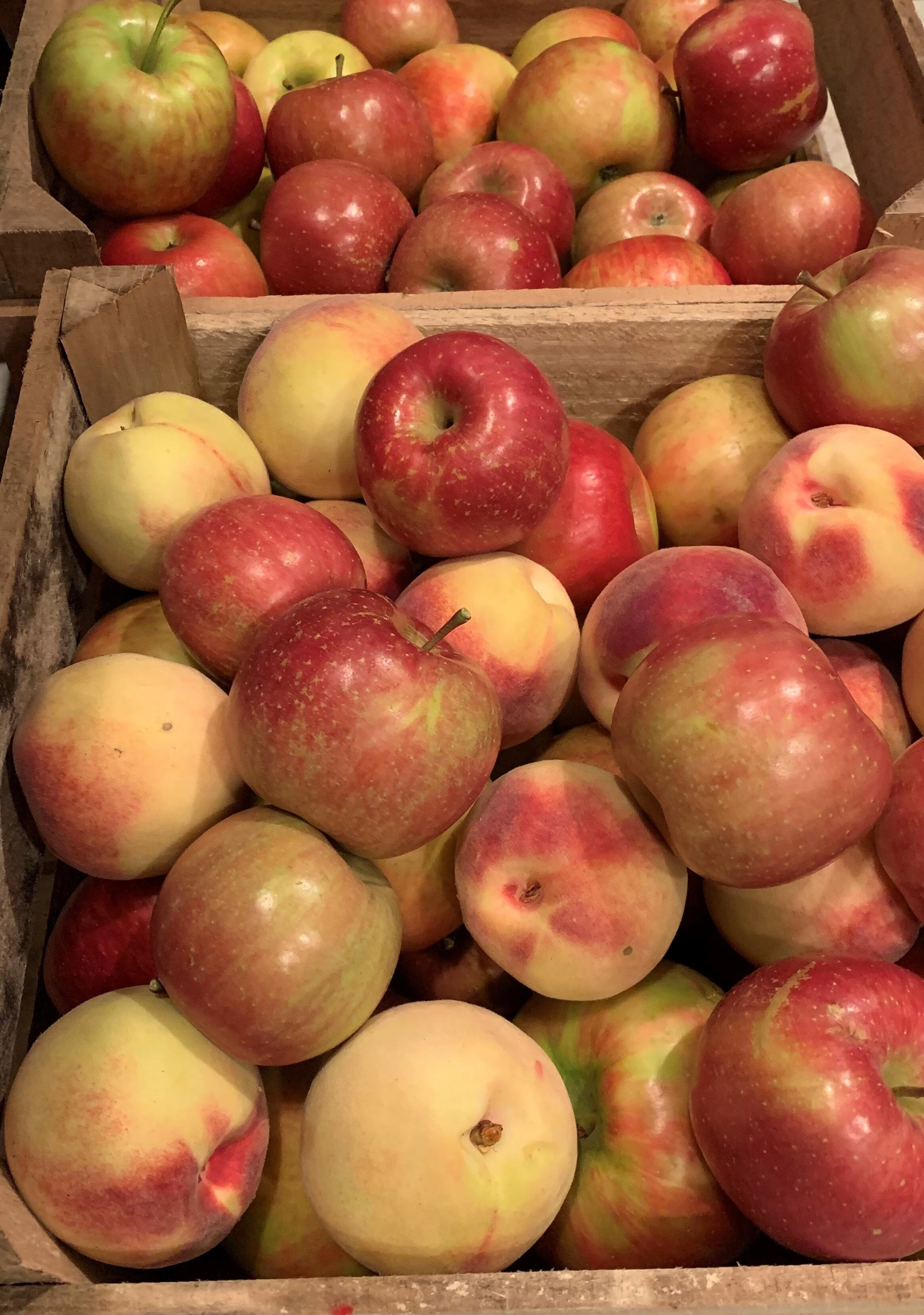 House of Empanadas - Artisanal Sweet Empanadas.jpg