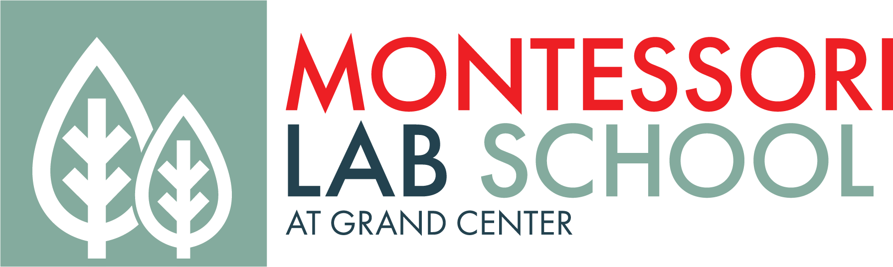 Montessori Lab School at Grand Center
