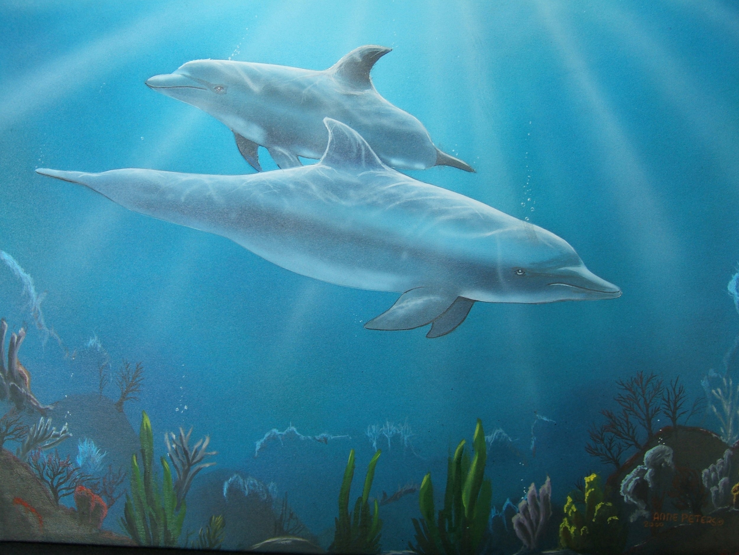 Dolphin Pair