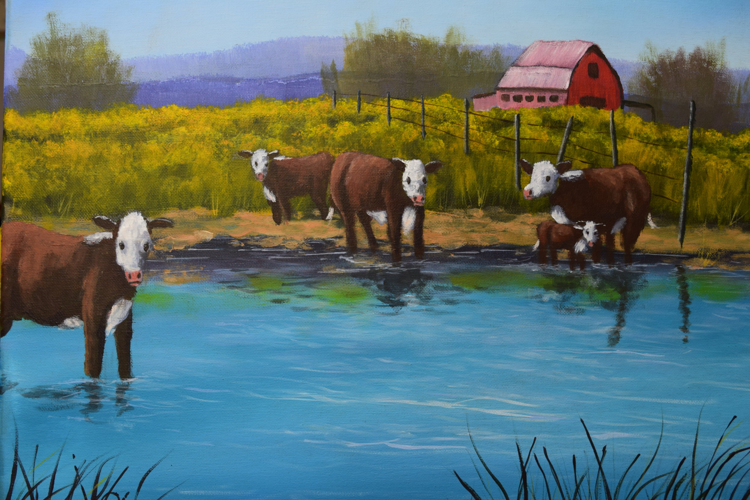 Wading Cows