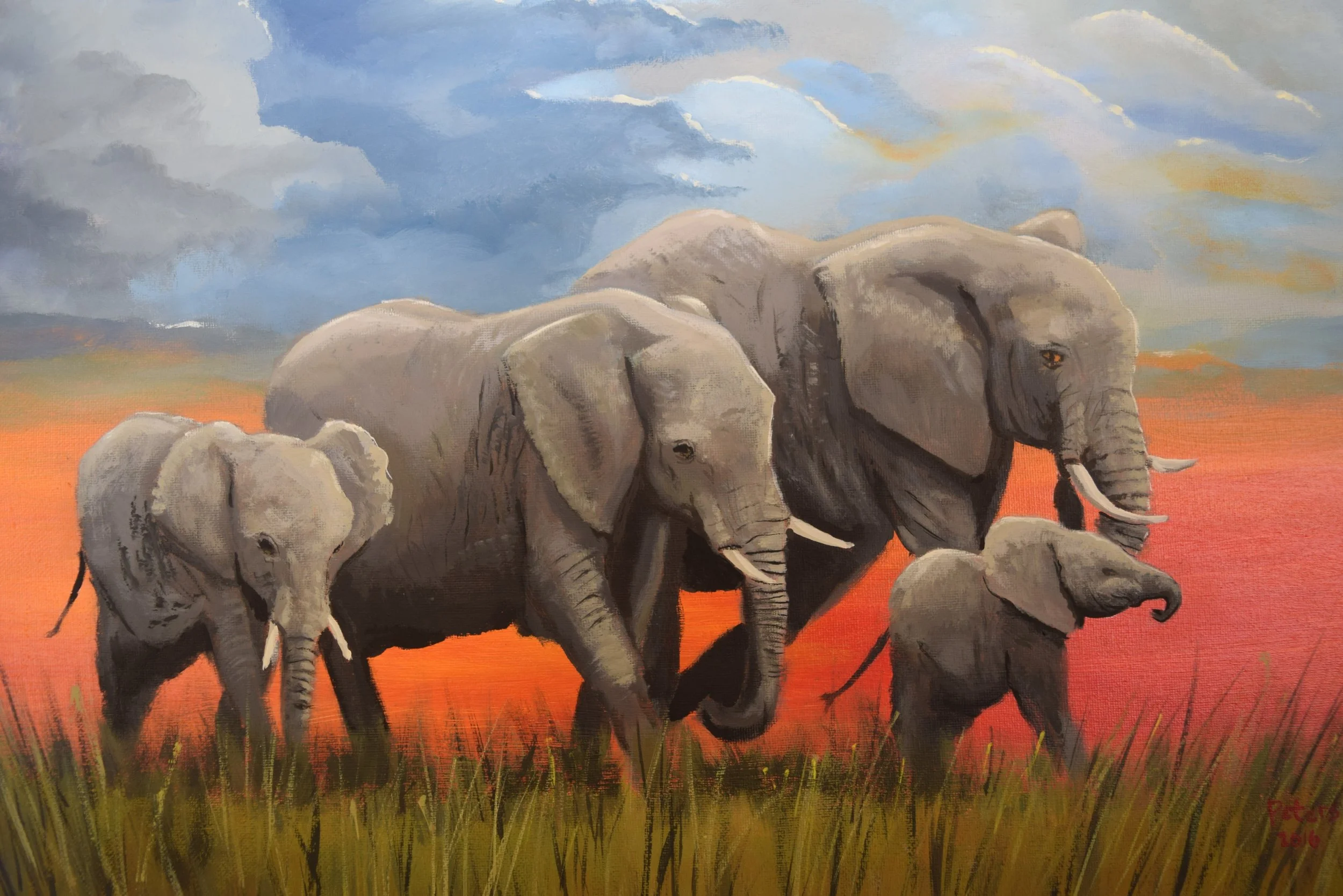 African Elephants