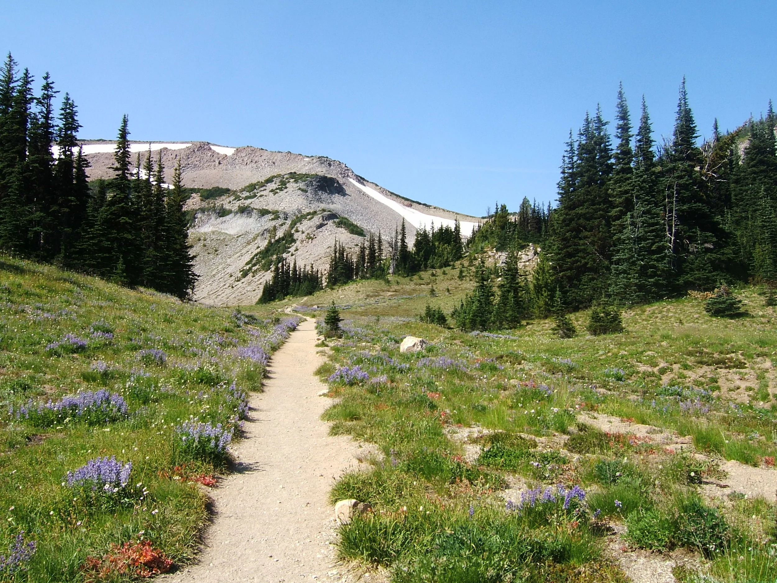 Rainier Trail