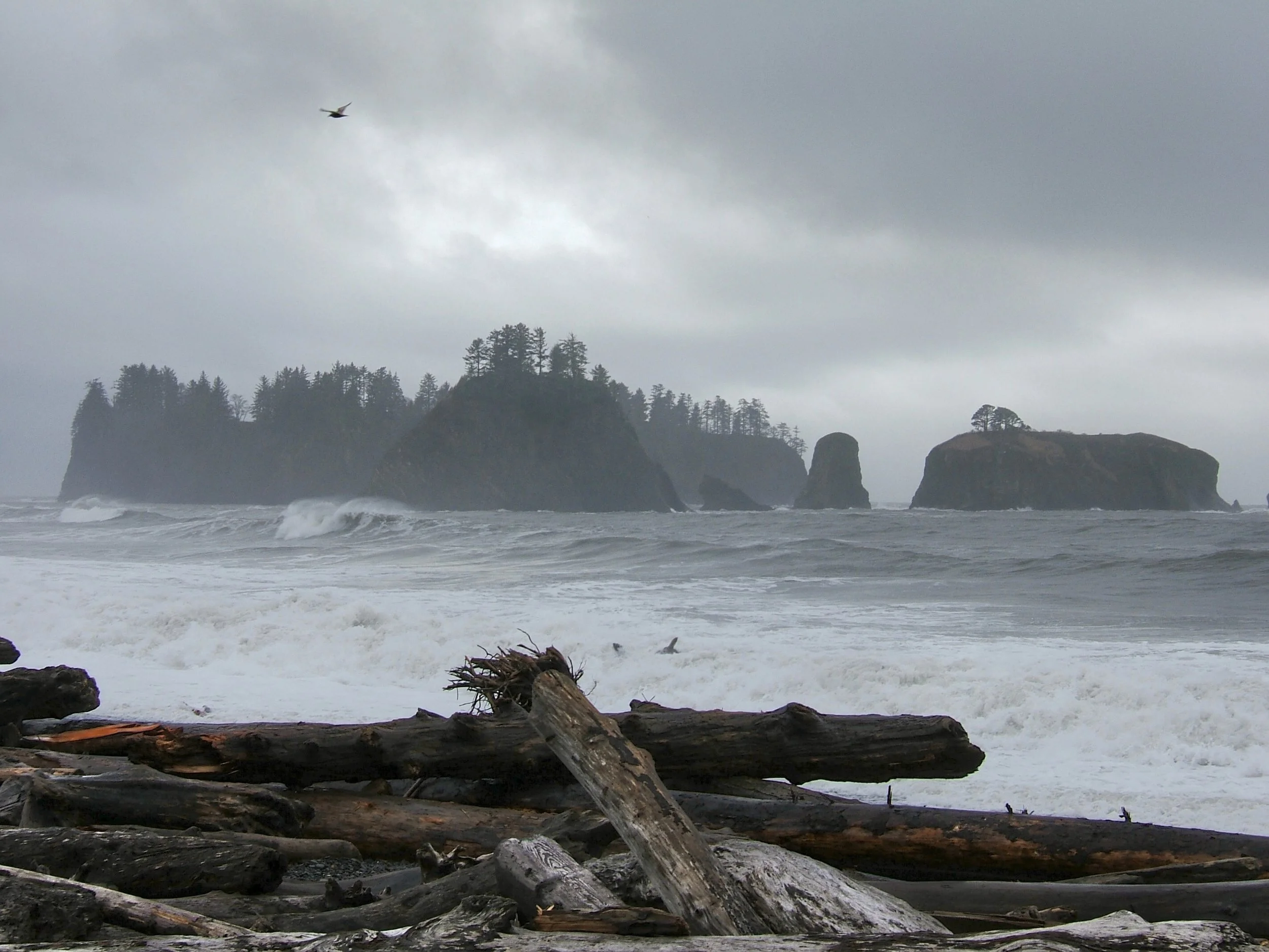 Rialto Beach