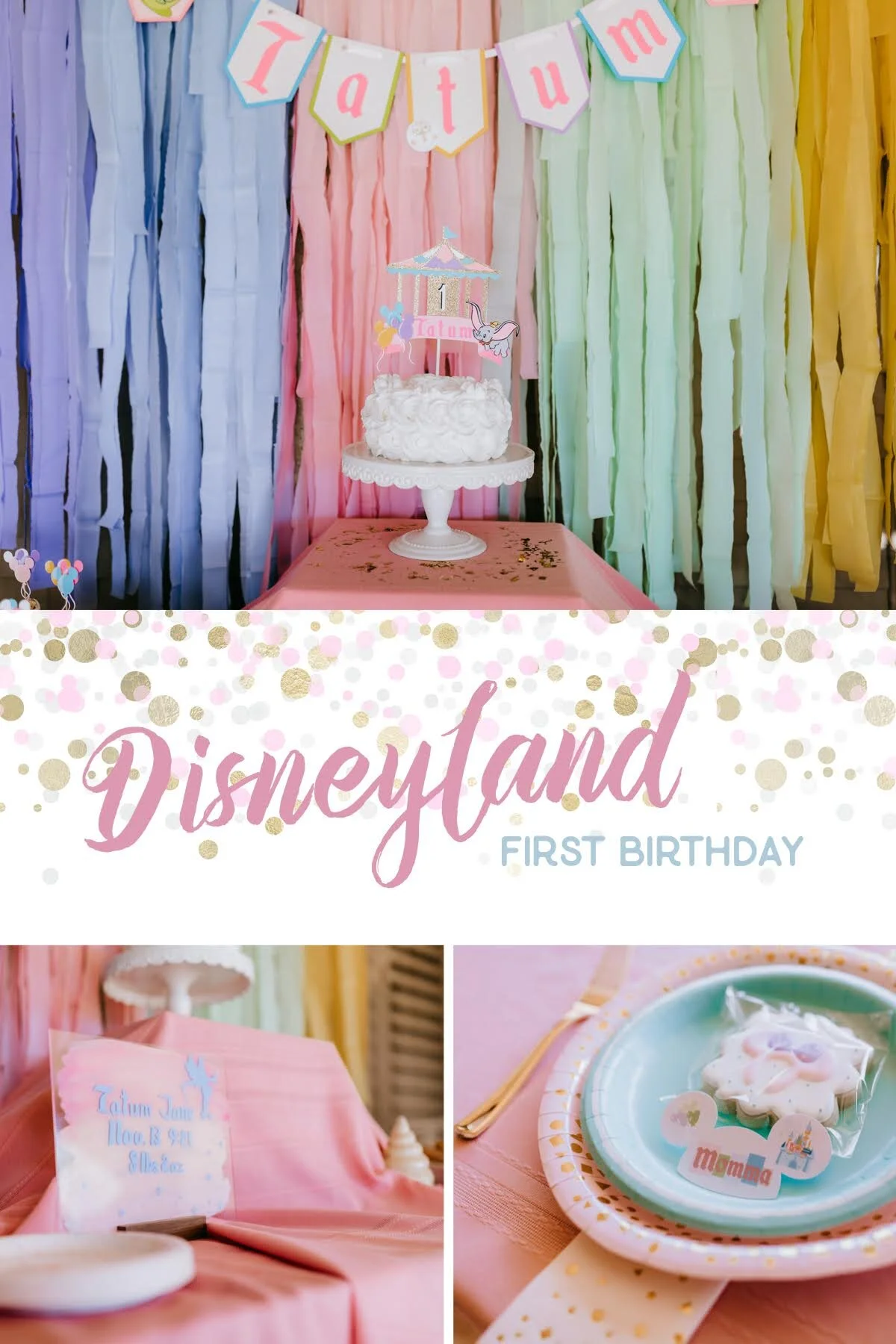 Disneyland Birthday Party