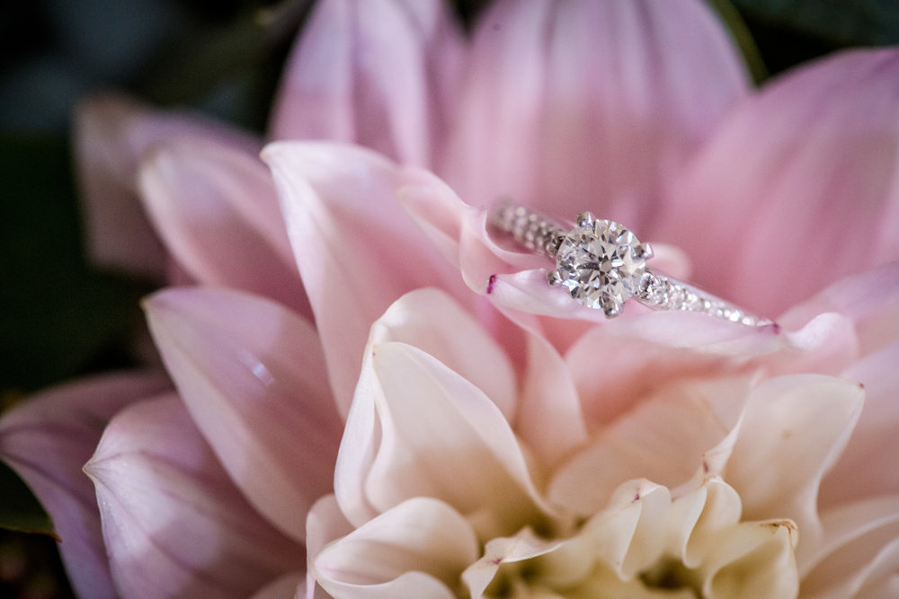 Dahlia_Wedding_Rings_Vizcaya_Sacramento_Violette_Fleurs.jpg