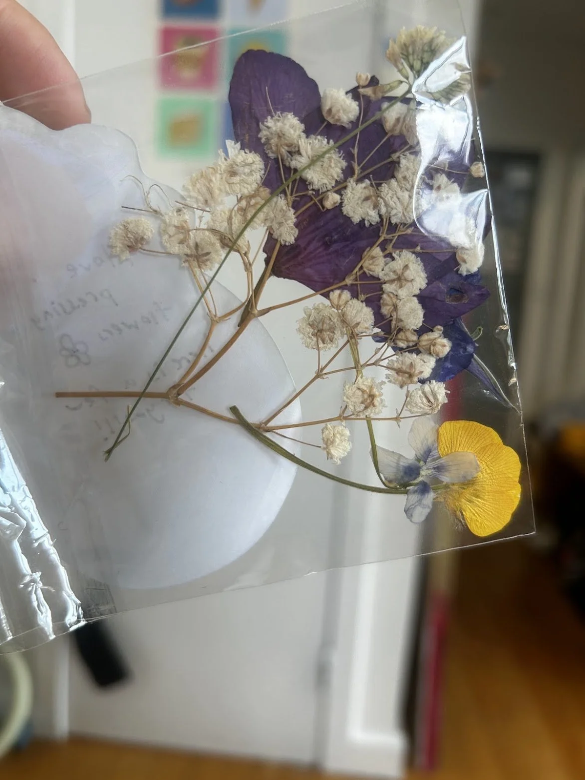 pressed flowers for my penpal
