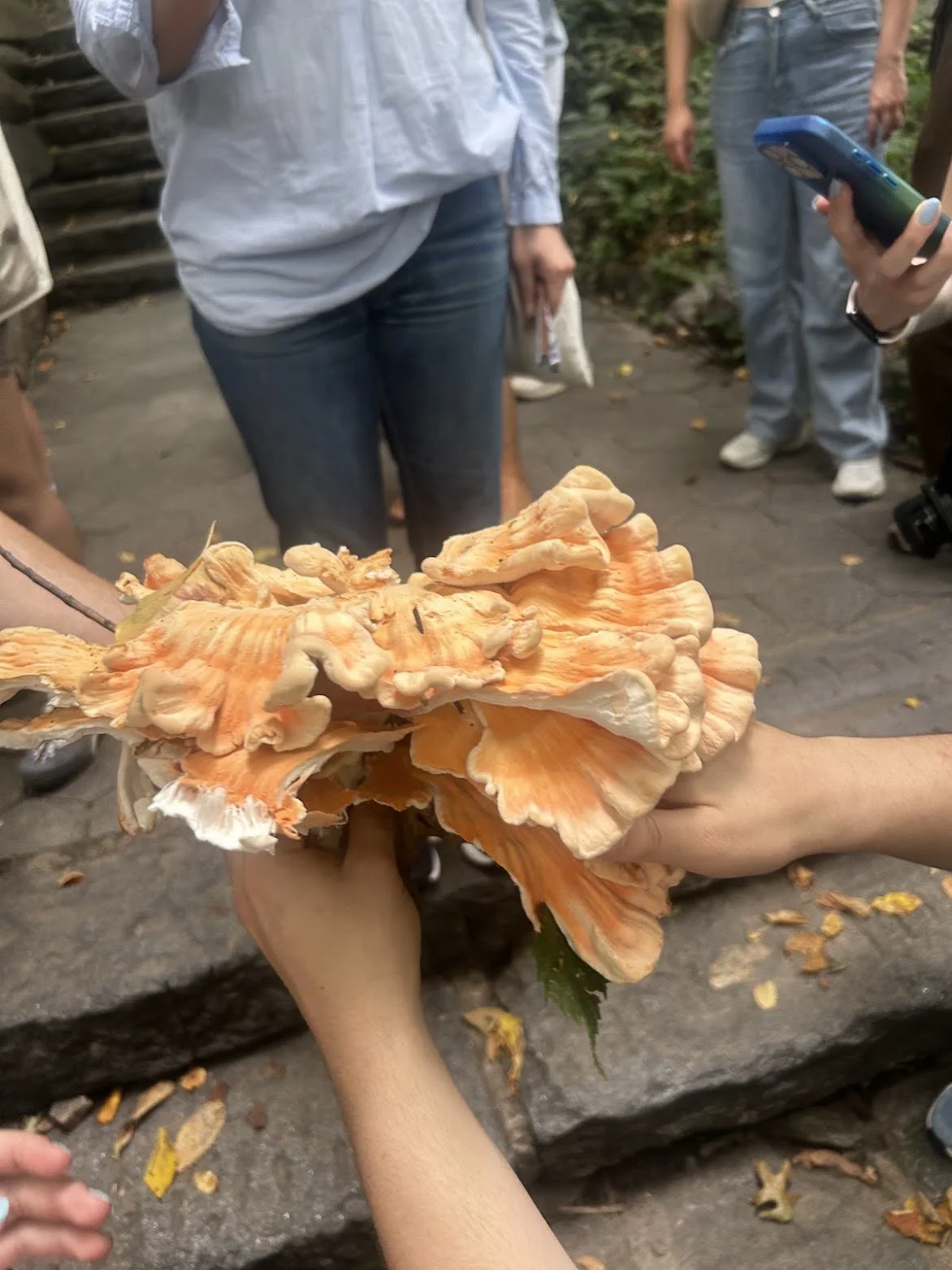 foraging with Wild Man Steve