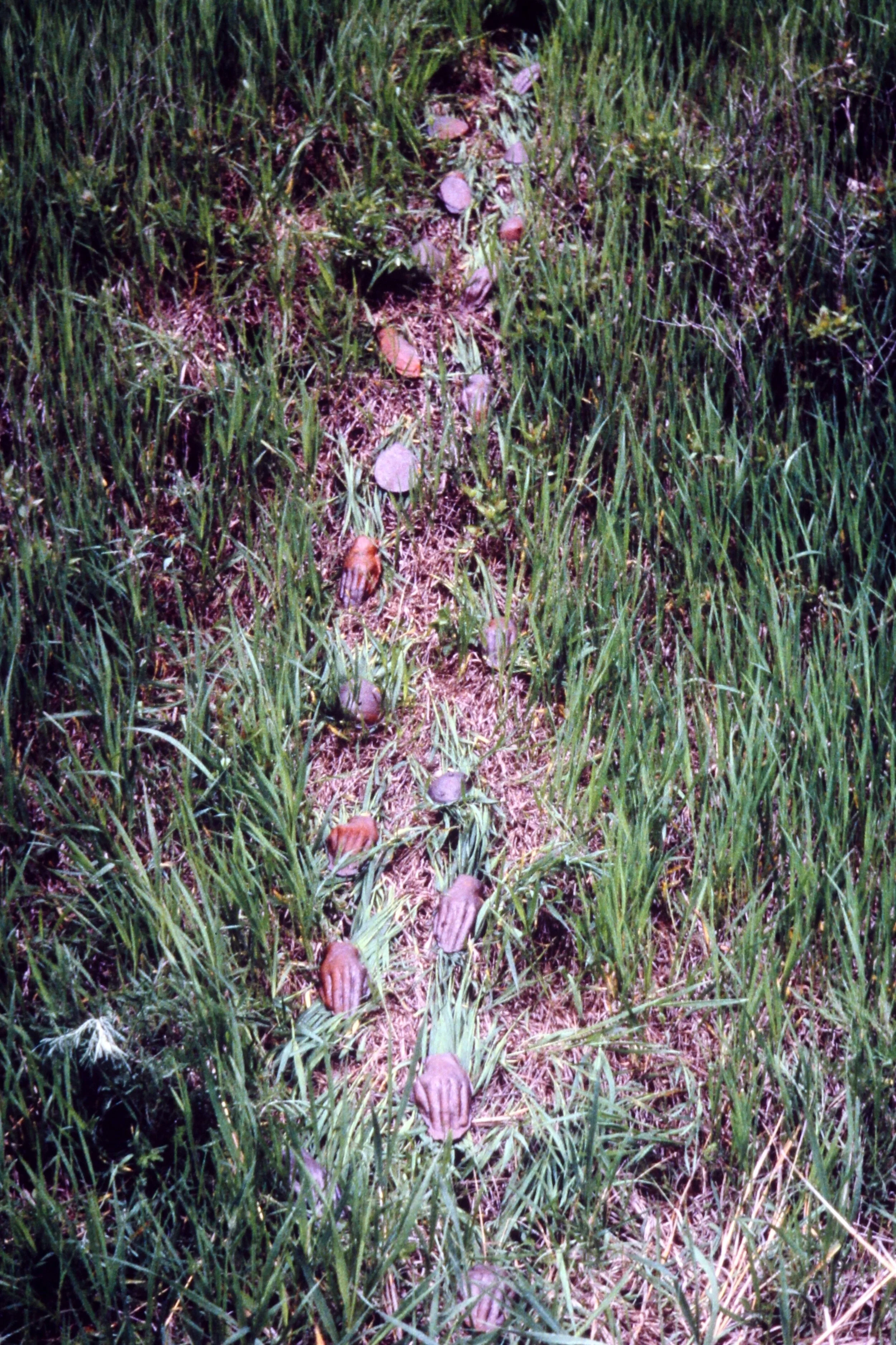BreastandHandPath.JPG