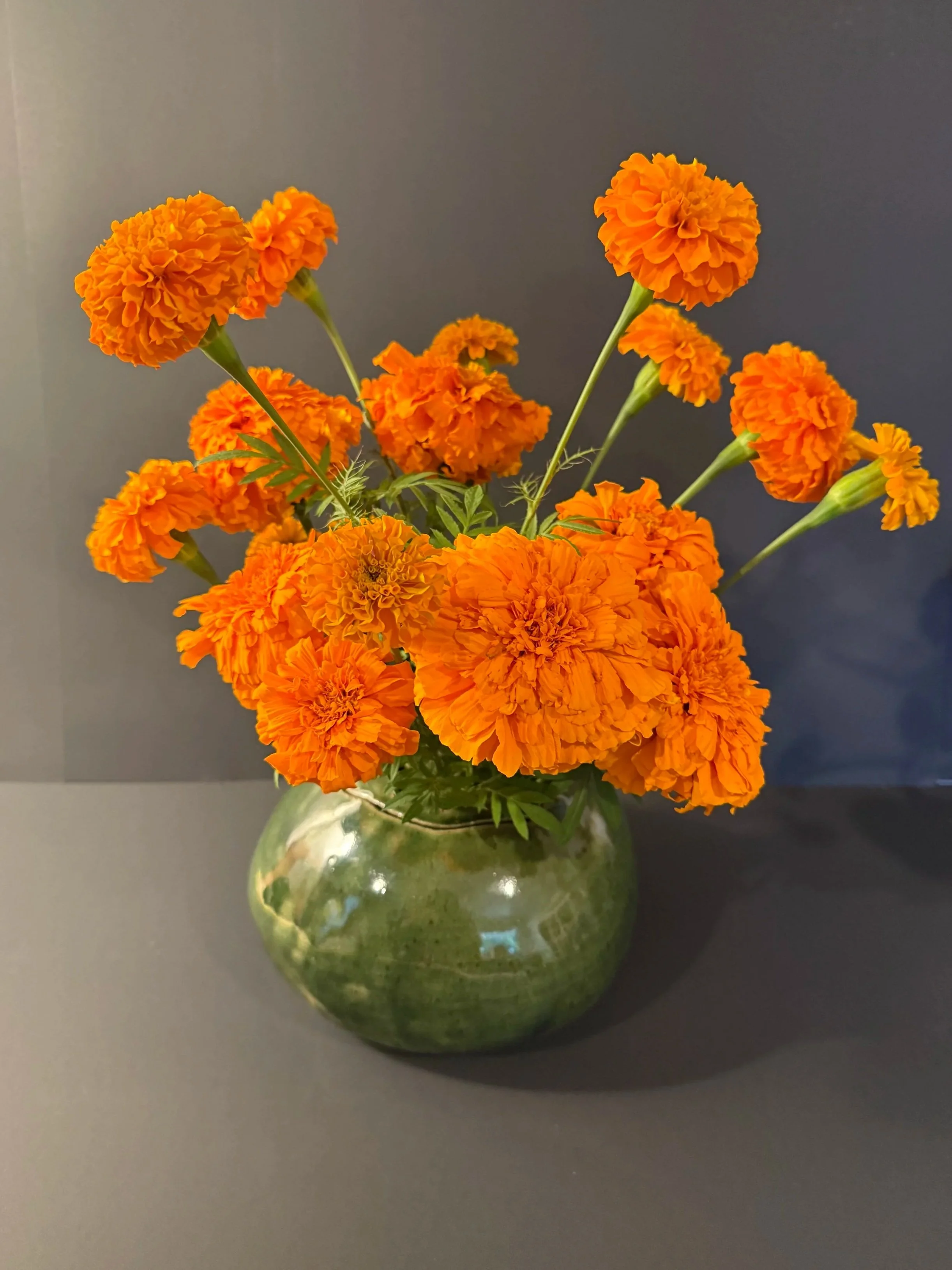 Flower Frog Vase--Large