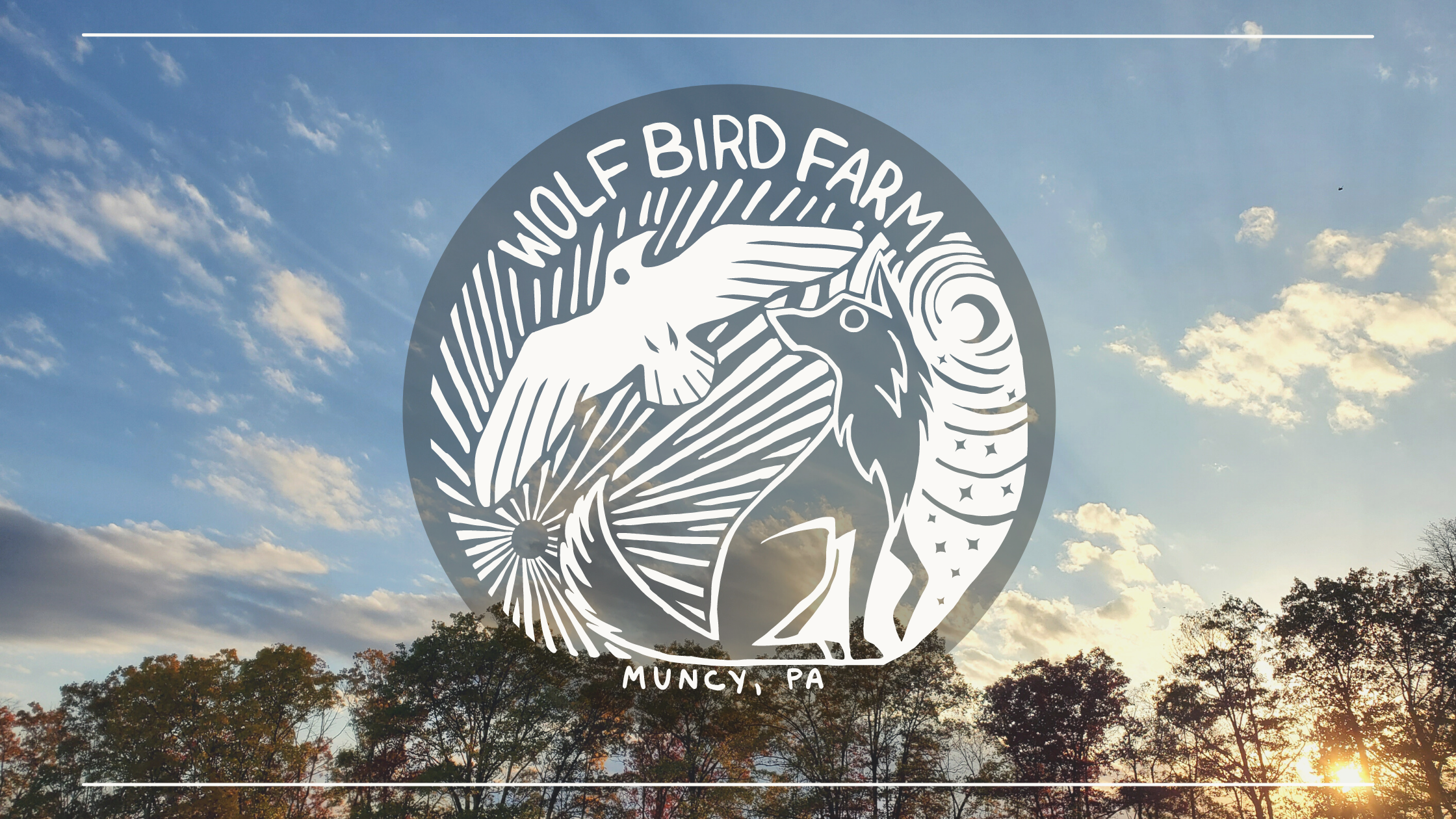 Wolf Bird Farm