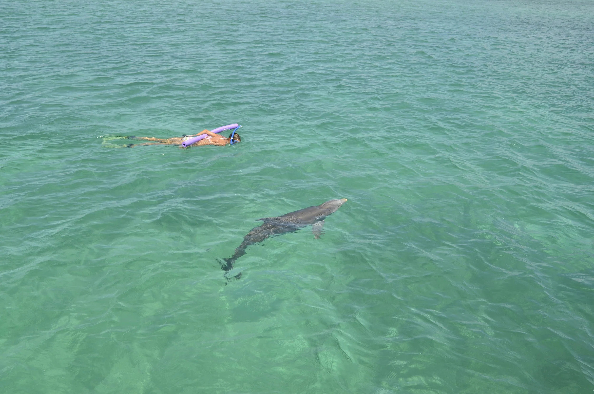 Bahamas-5630.JPG