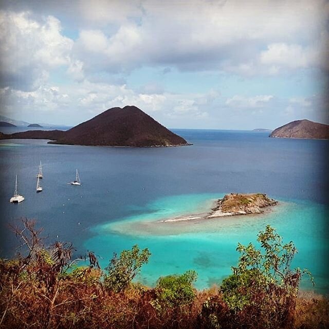 I spy Cosmos 👀⛵~DN #morninghike #stjohn #stjohnusvi #cosmosmariner #sailingthecosmoscharters #comevisitus #visitusvi #usvirginislands #hiking