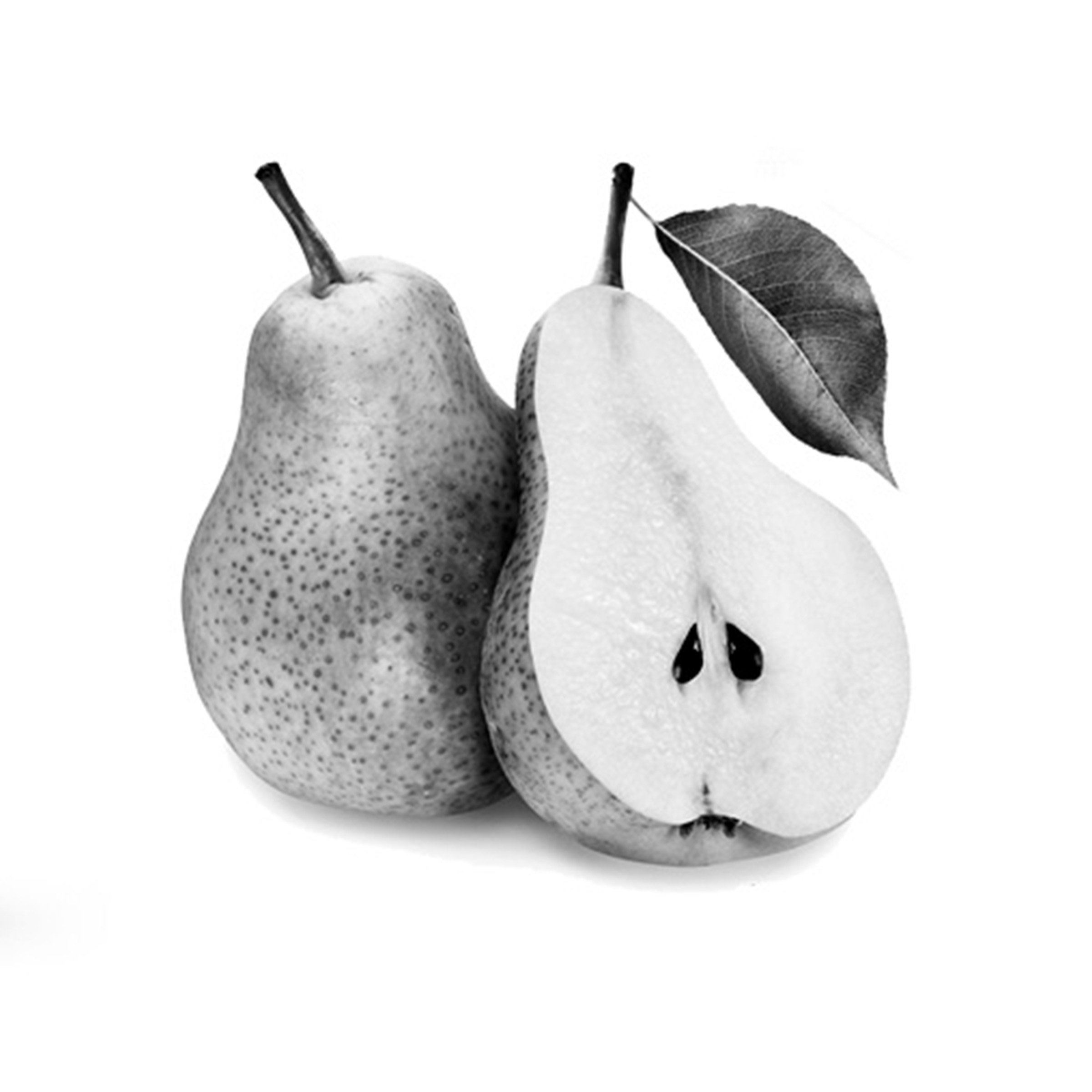 pears1.jpg