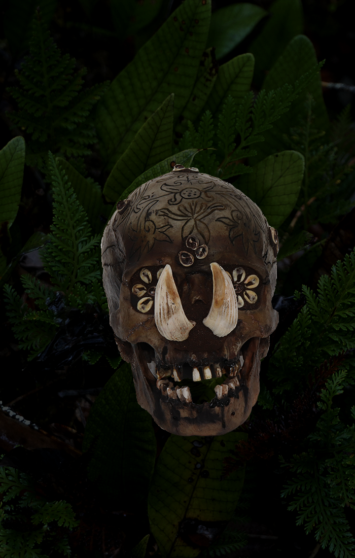 dayak 1.png