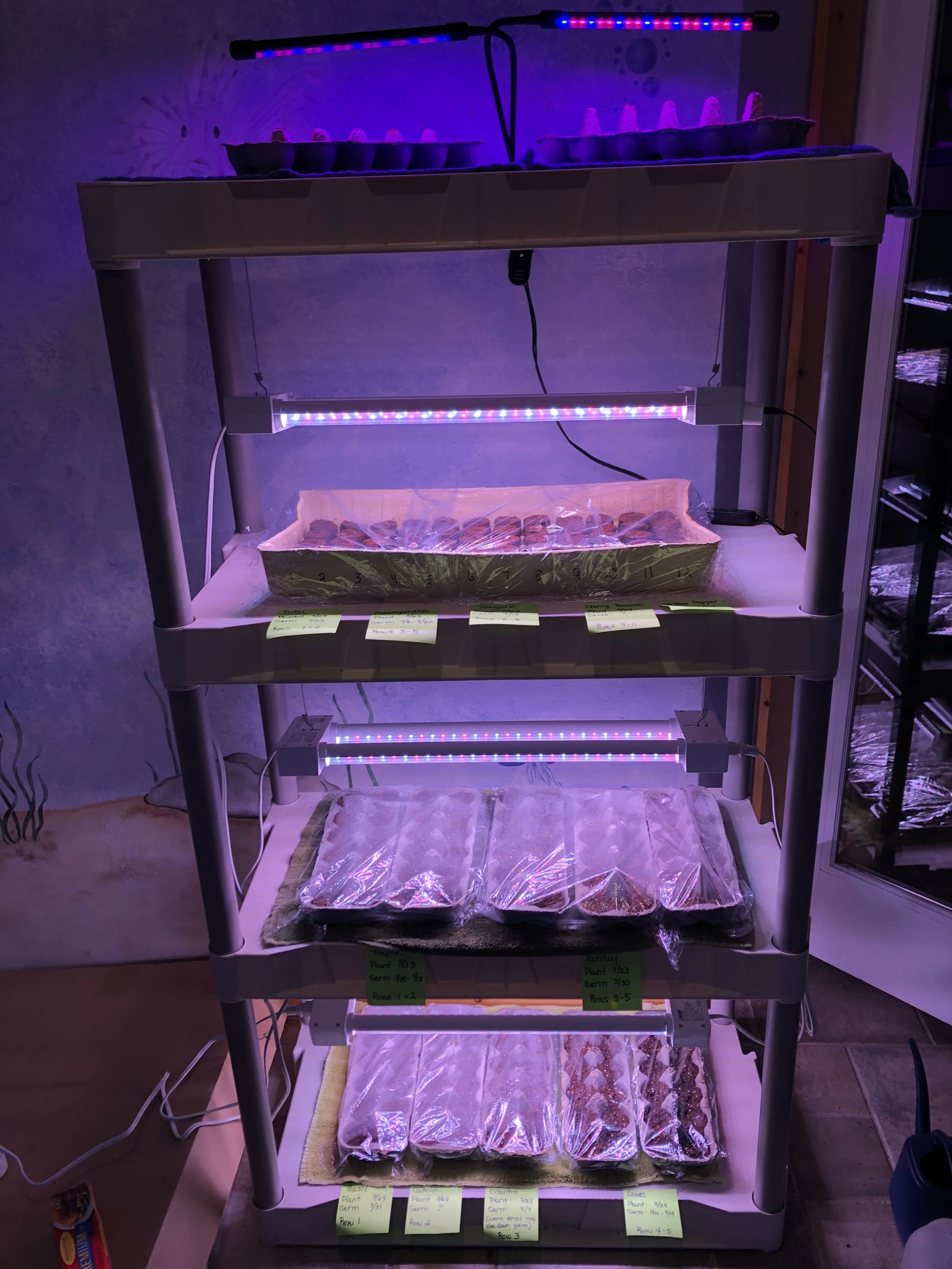 Creating an Indoor Growing Station