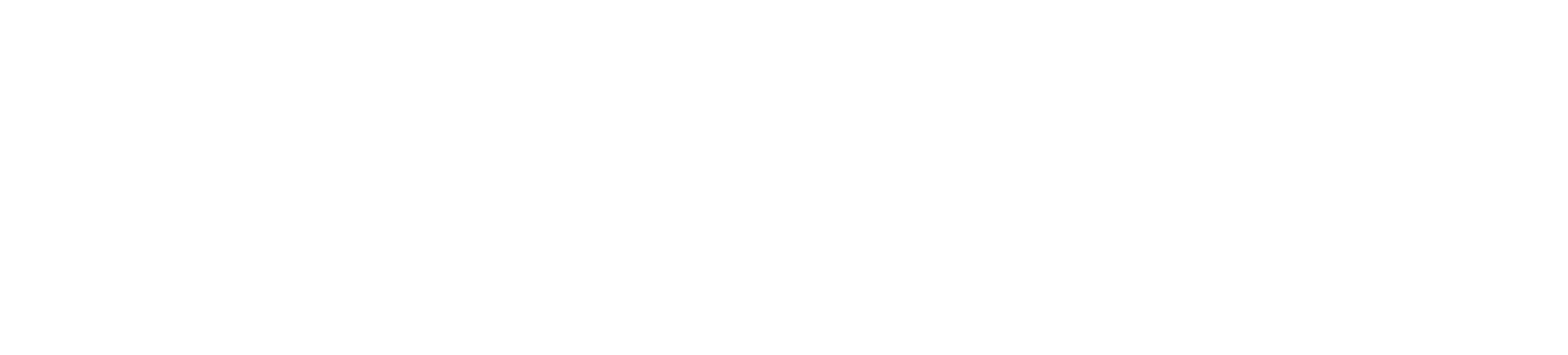 Professional Services Business Development