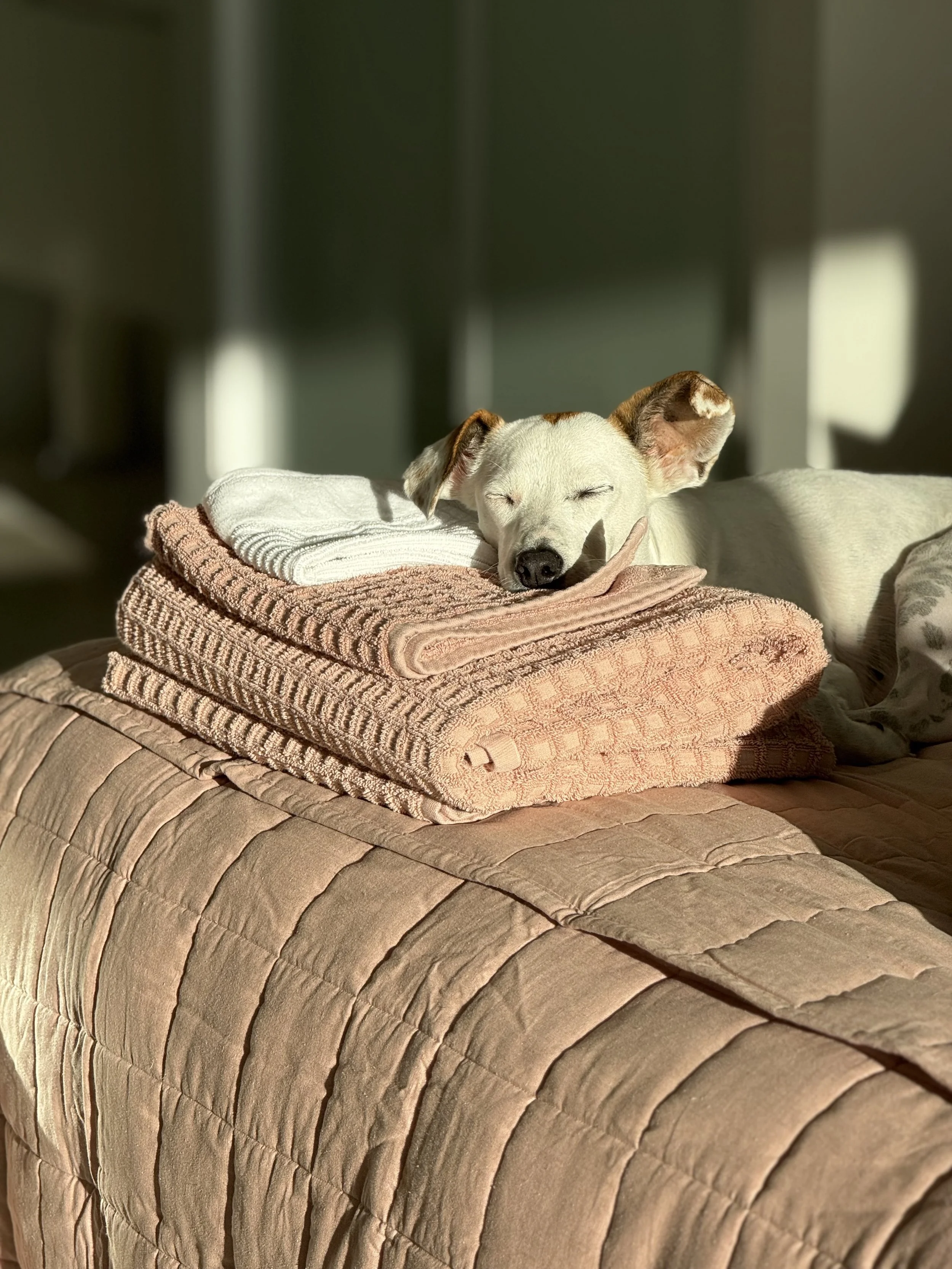 Photo 24-3-2025, 5 25 42 pm.jpg