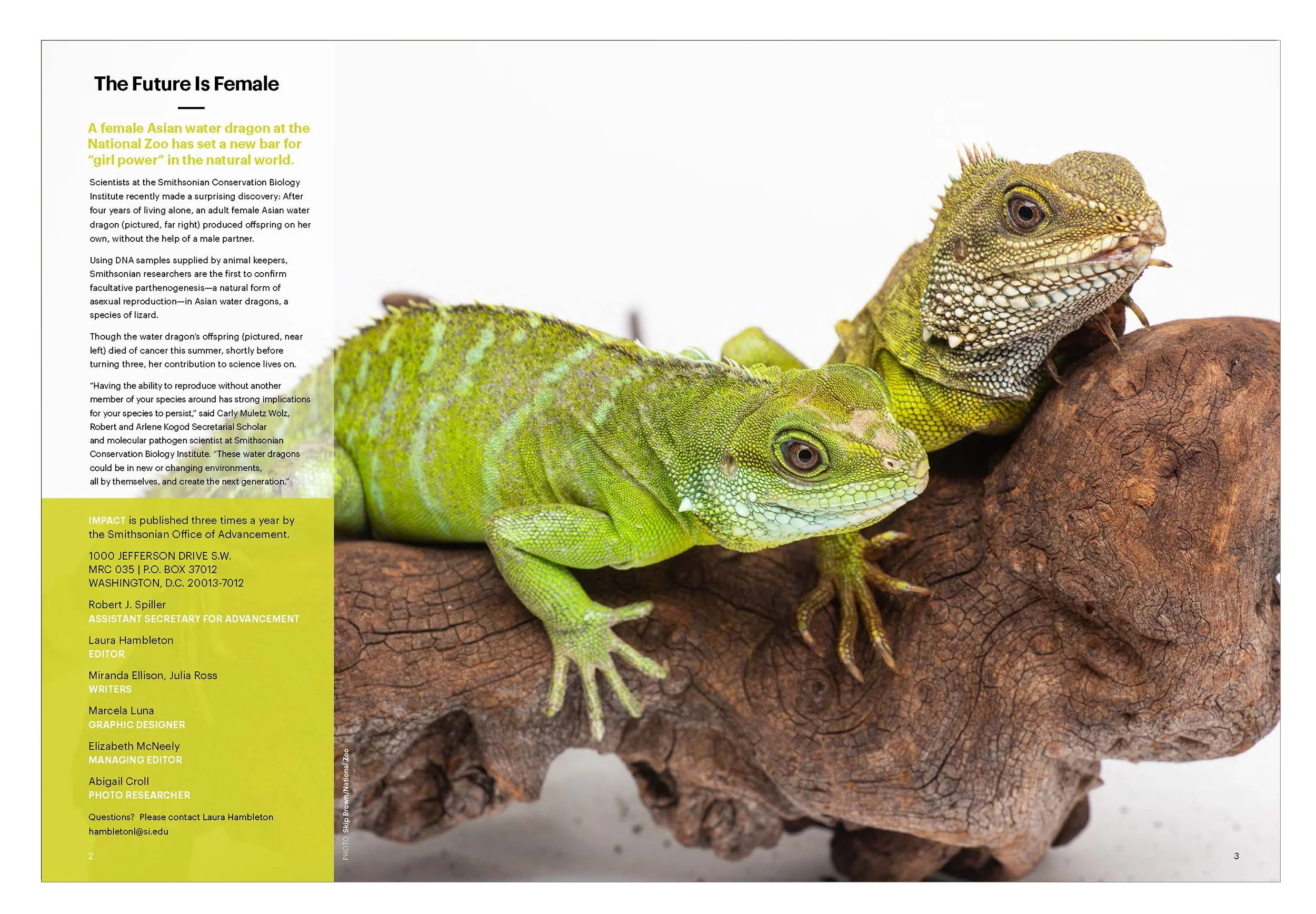 spread5.jpg