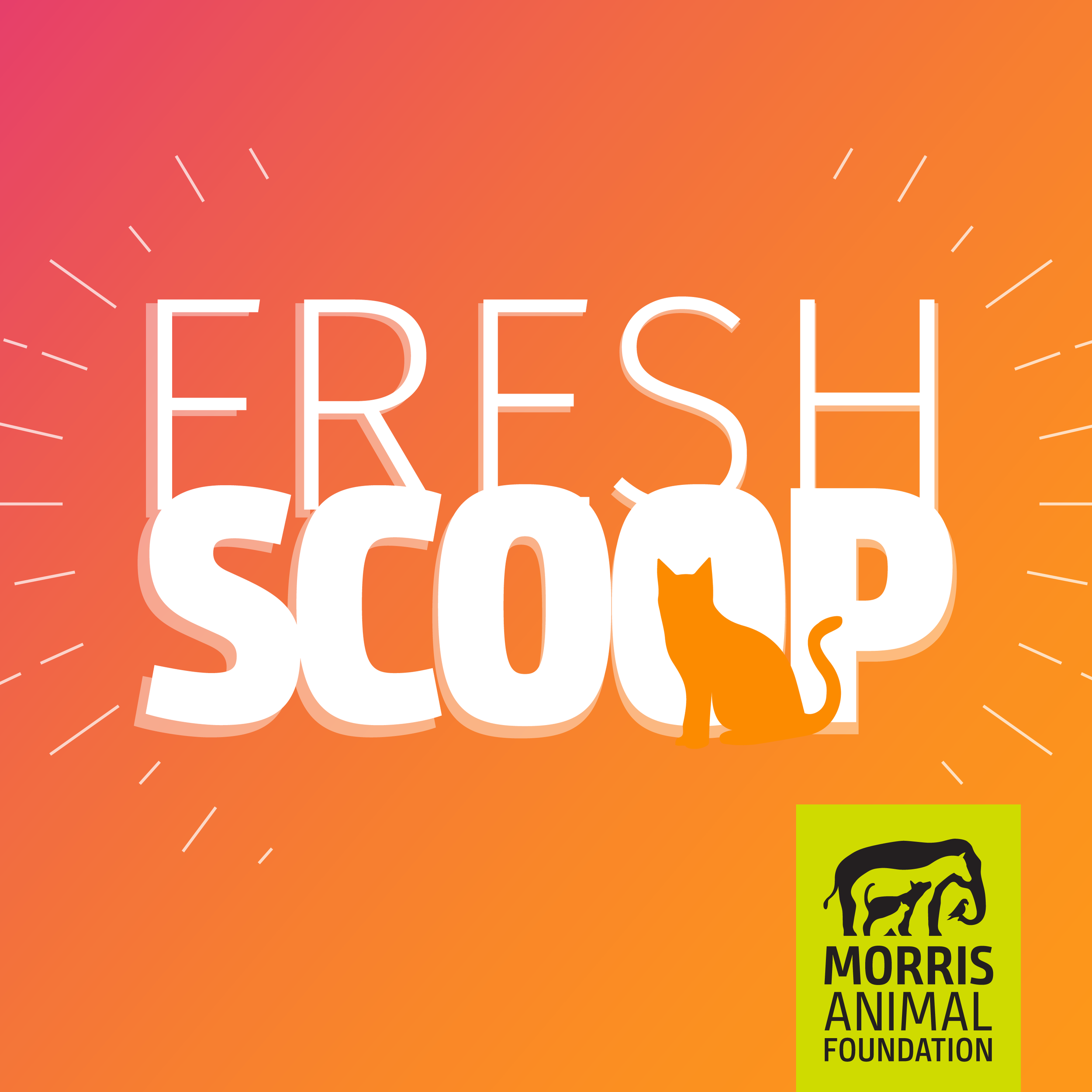 Fresh Scoop, by Morris Animal Foundation