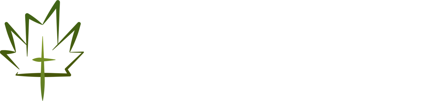 MAPLE CITY BAPTIST CHURCH