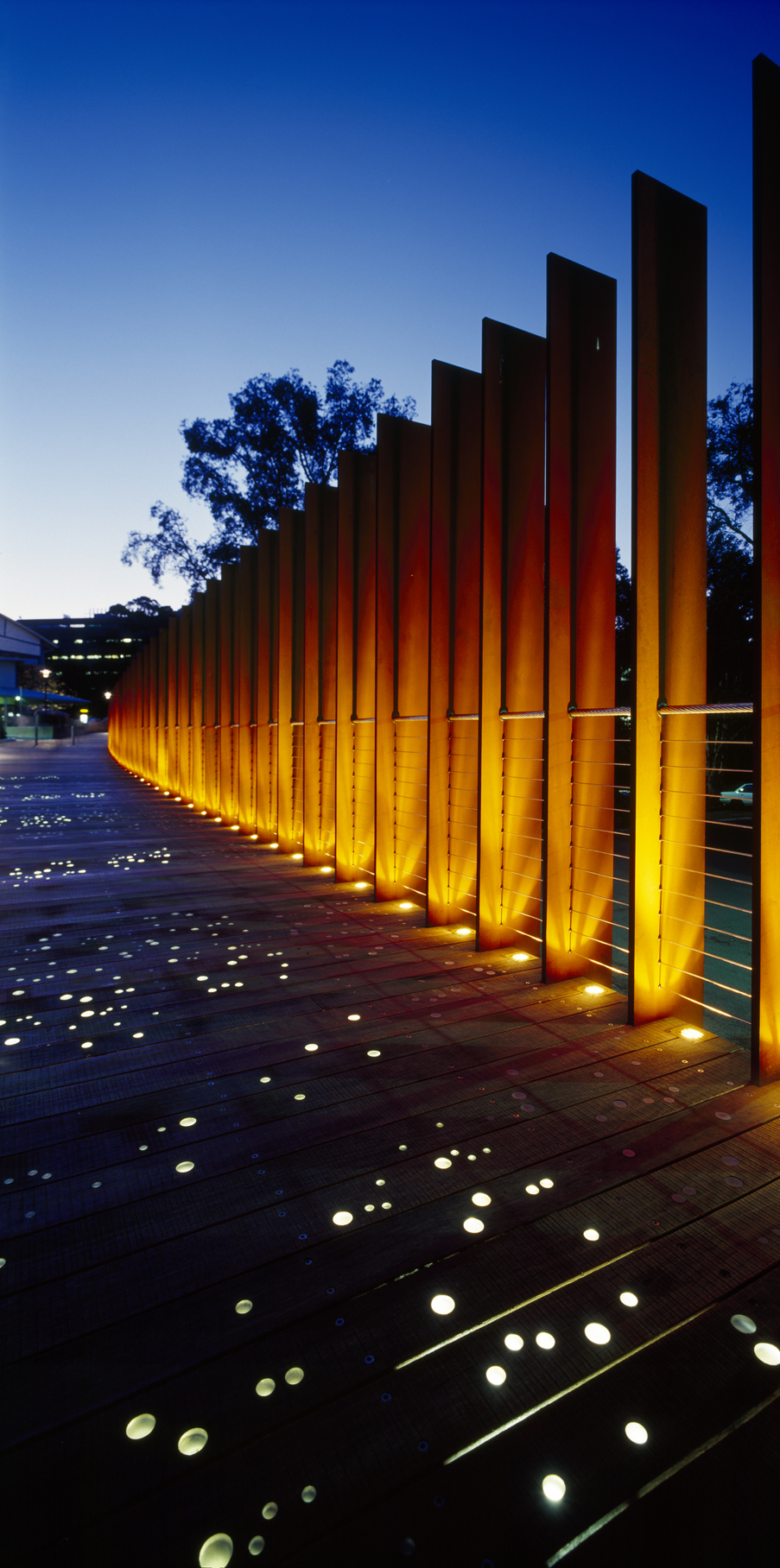 Boardwalk_013.jpg